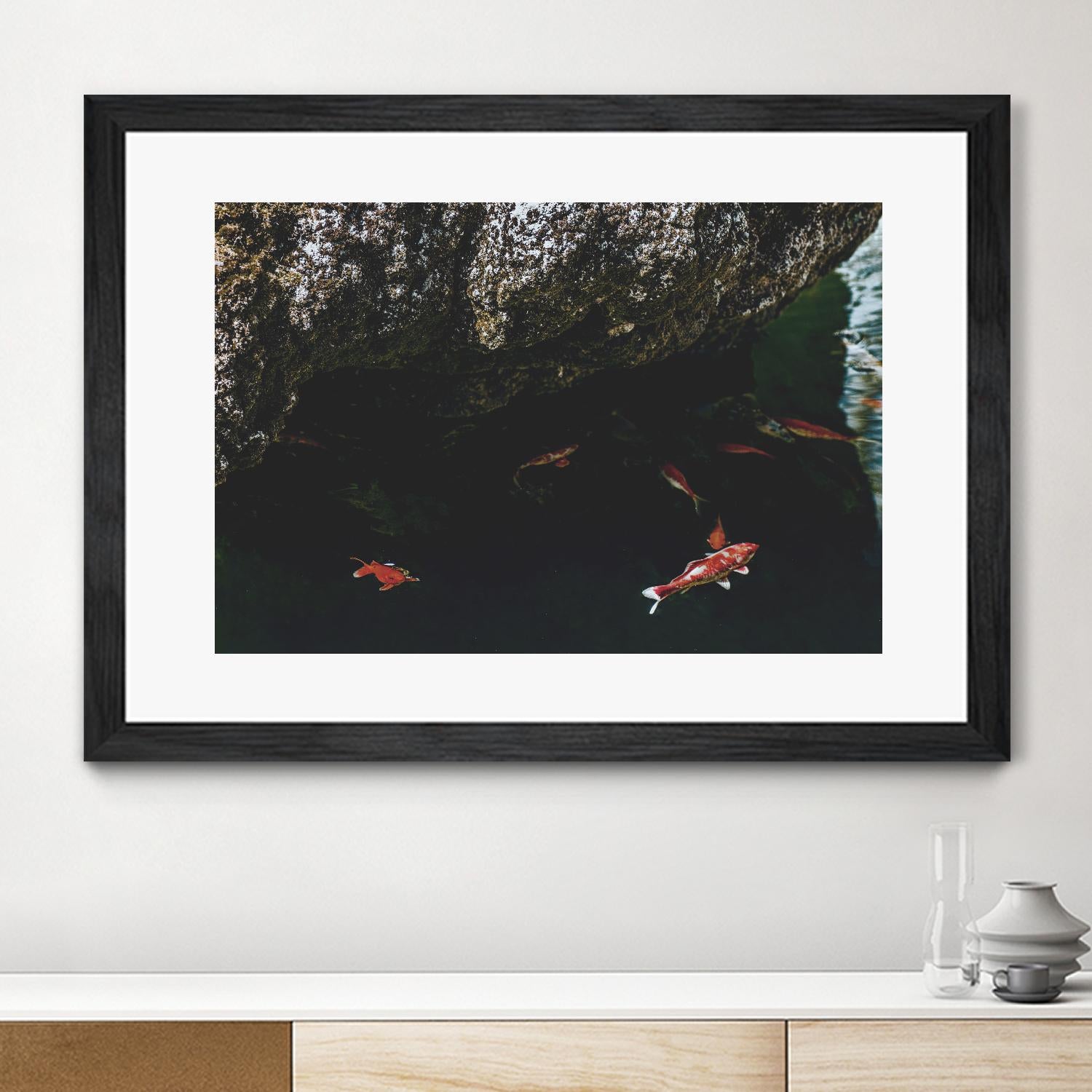 Hiding Koi by Pexels on GIANT ART - orange animals