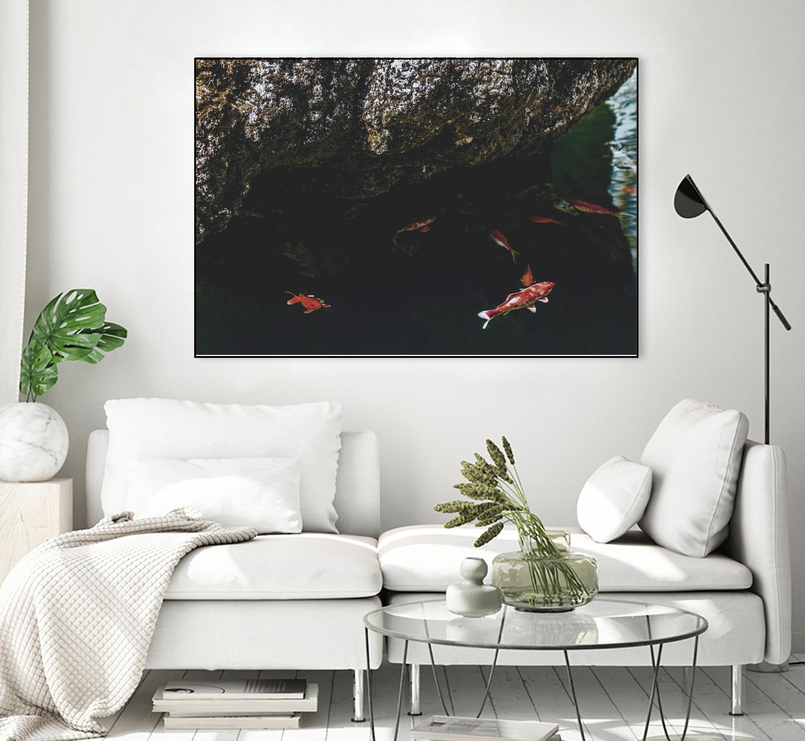 Hiding Koi by Pexels on GIANT ART - orange animals