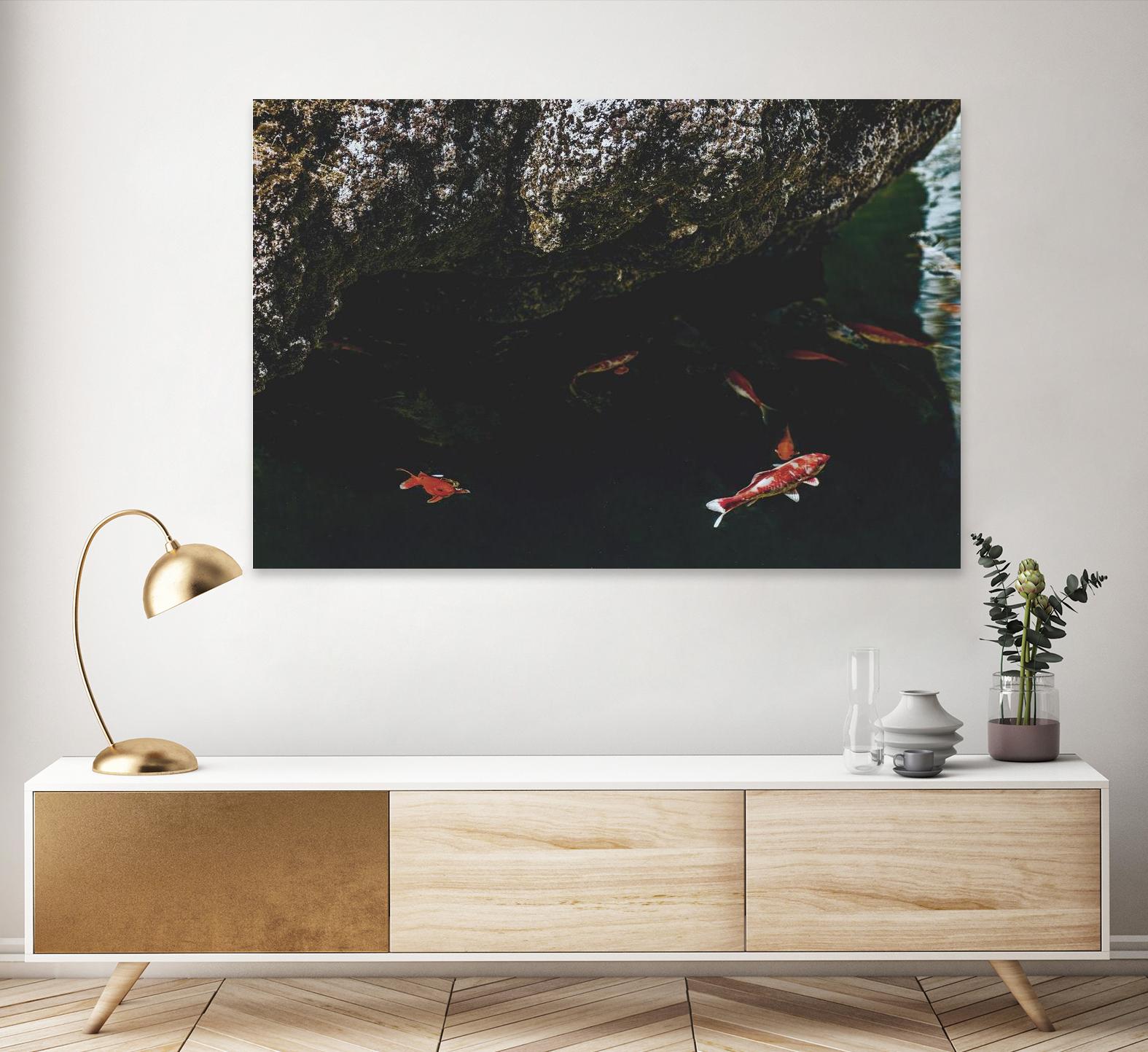 Hiding Koi by Pexels on GIANT ART - orange animals