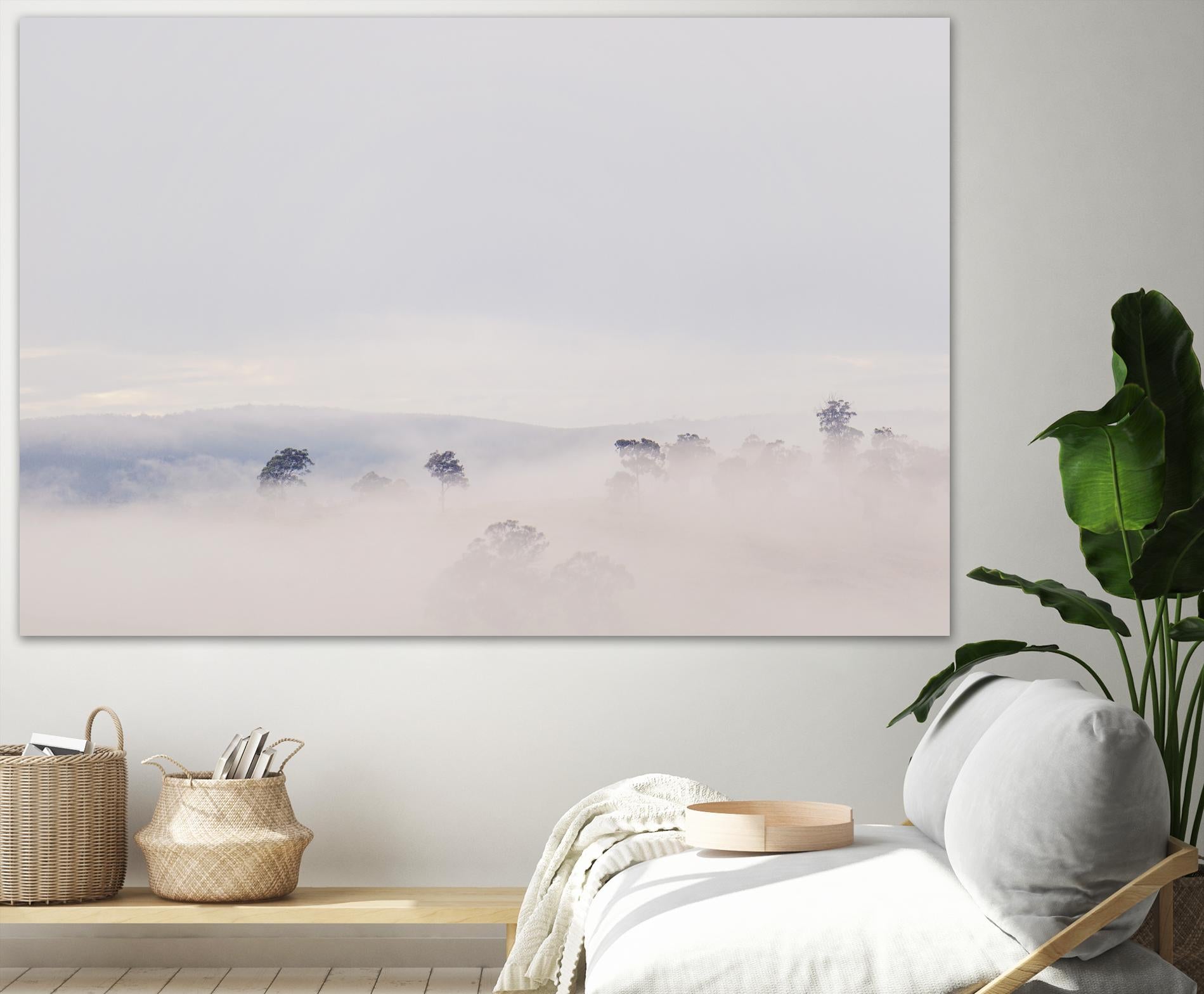 Top Trees by Pexels on GIANT ART - grey landscape