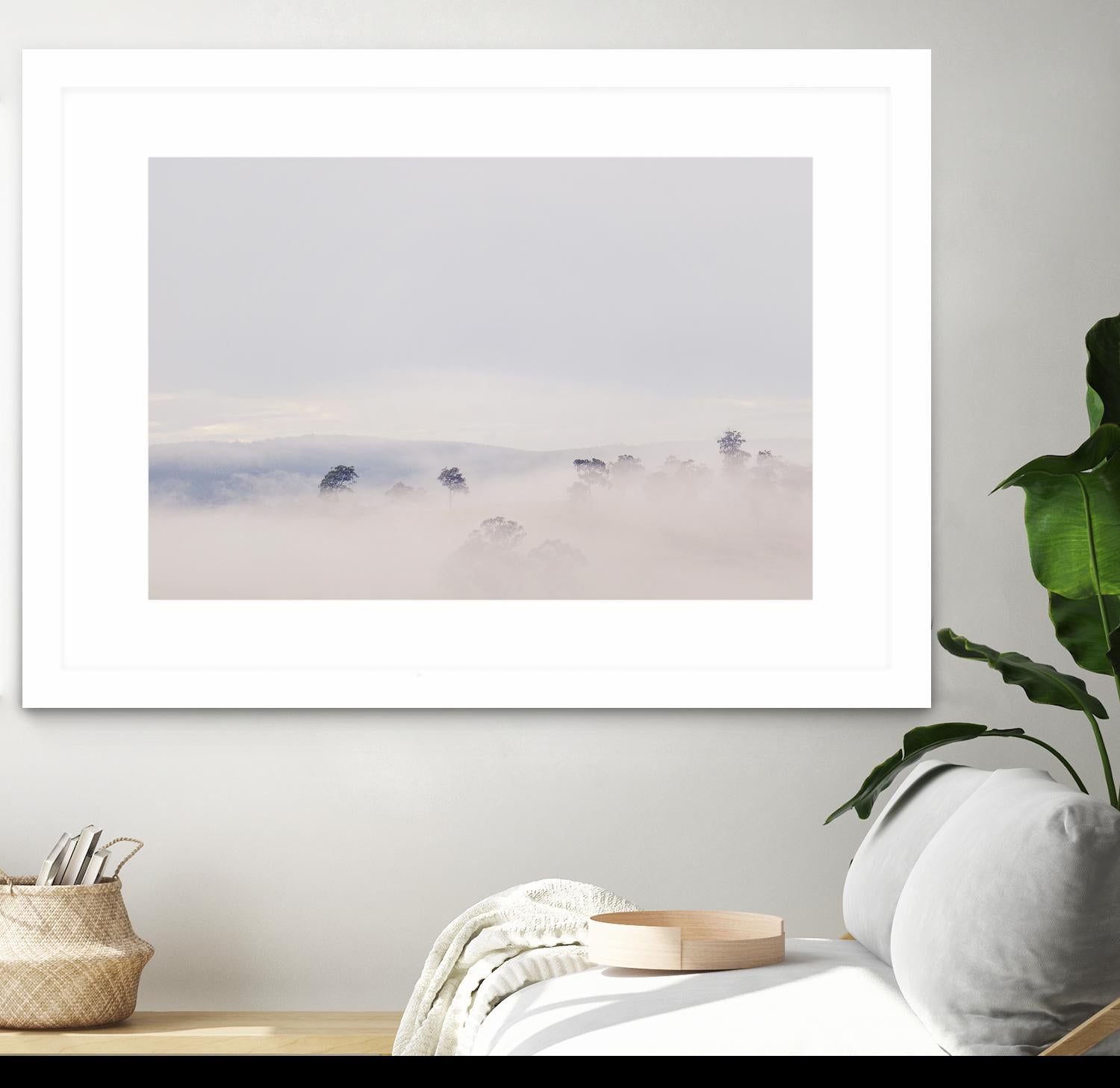 Top Trees by Pexels on GIANT ART - white landscape