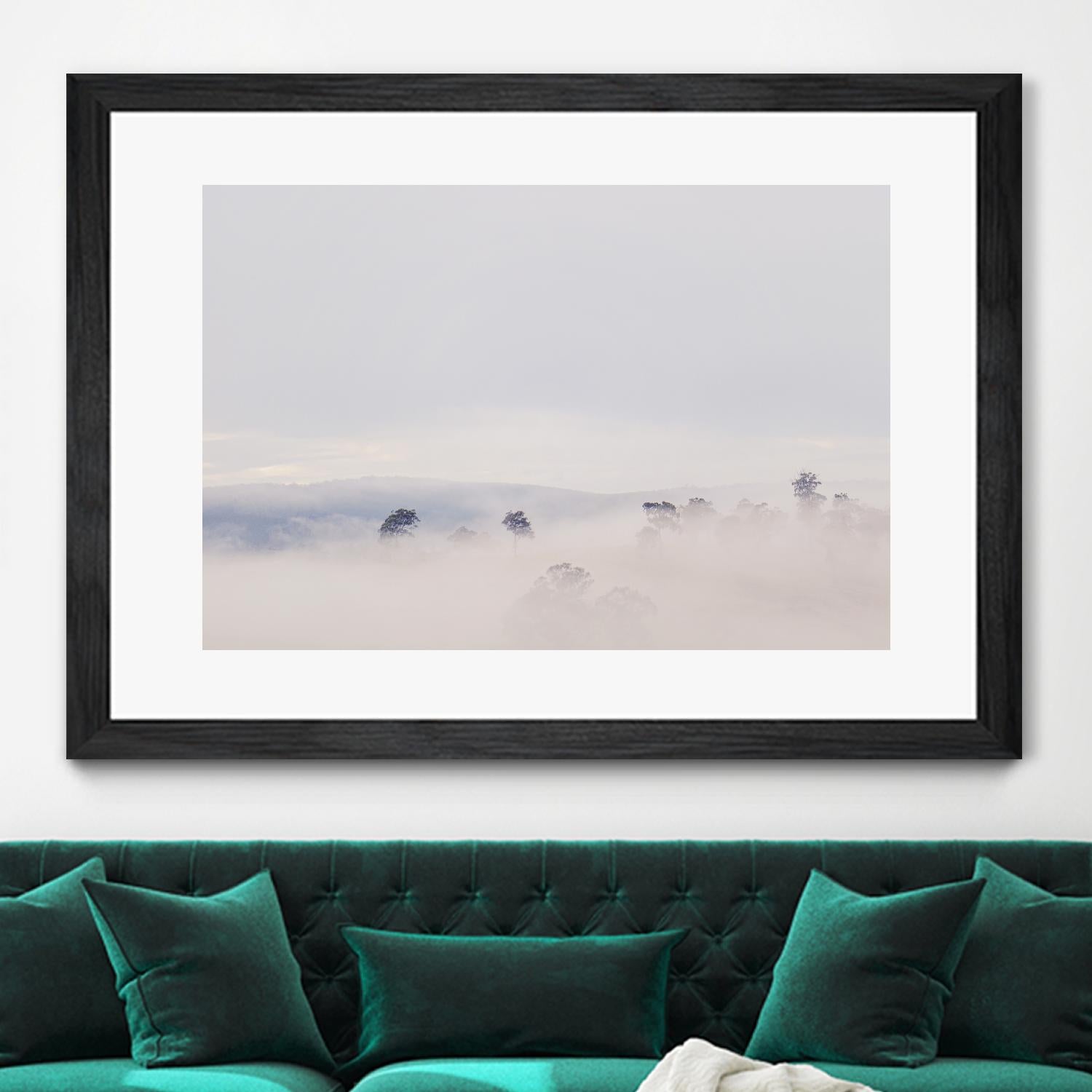 Top Trees by Pexels on GIANT ART - white landscape