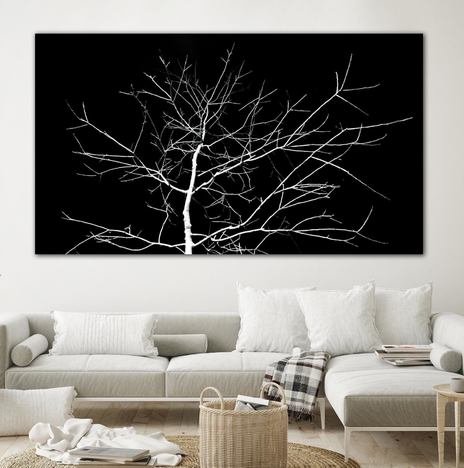 White Tree by Pexels on GIANT ART - white trees