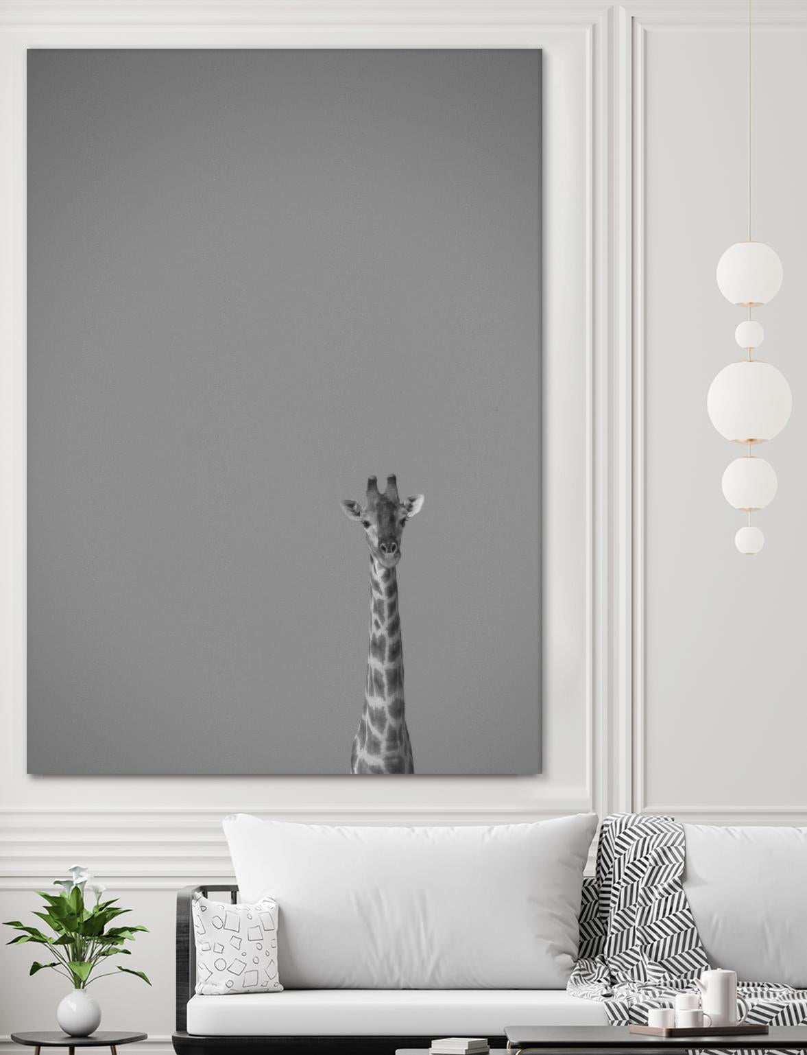 Hello there by Pexels on GIANT ART - black animals