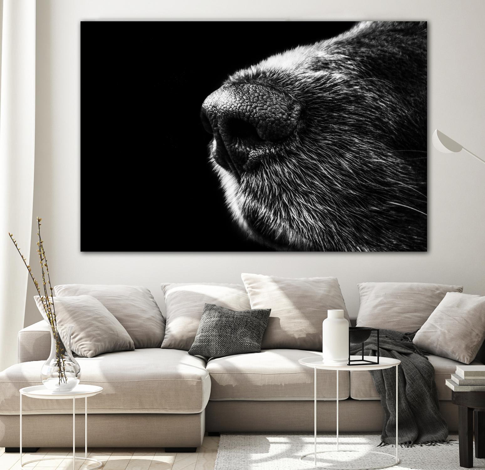 Dog nose by Pexels on GIANT ART - white animals