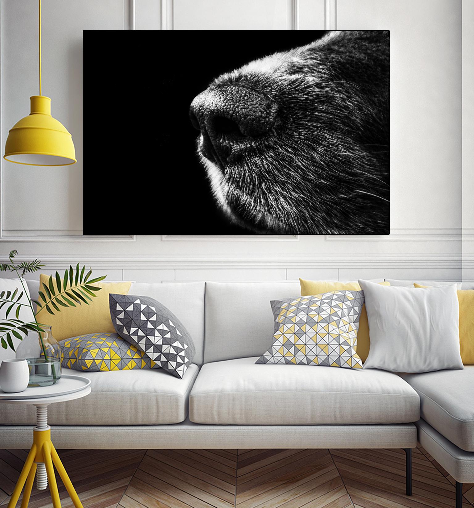 Dog nose by Pexels on GIANT ART - white animals