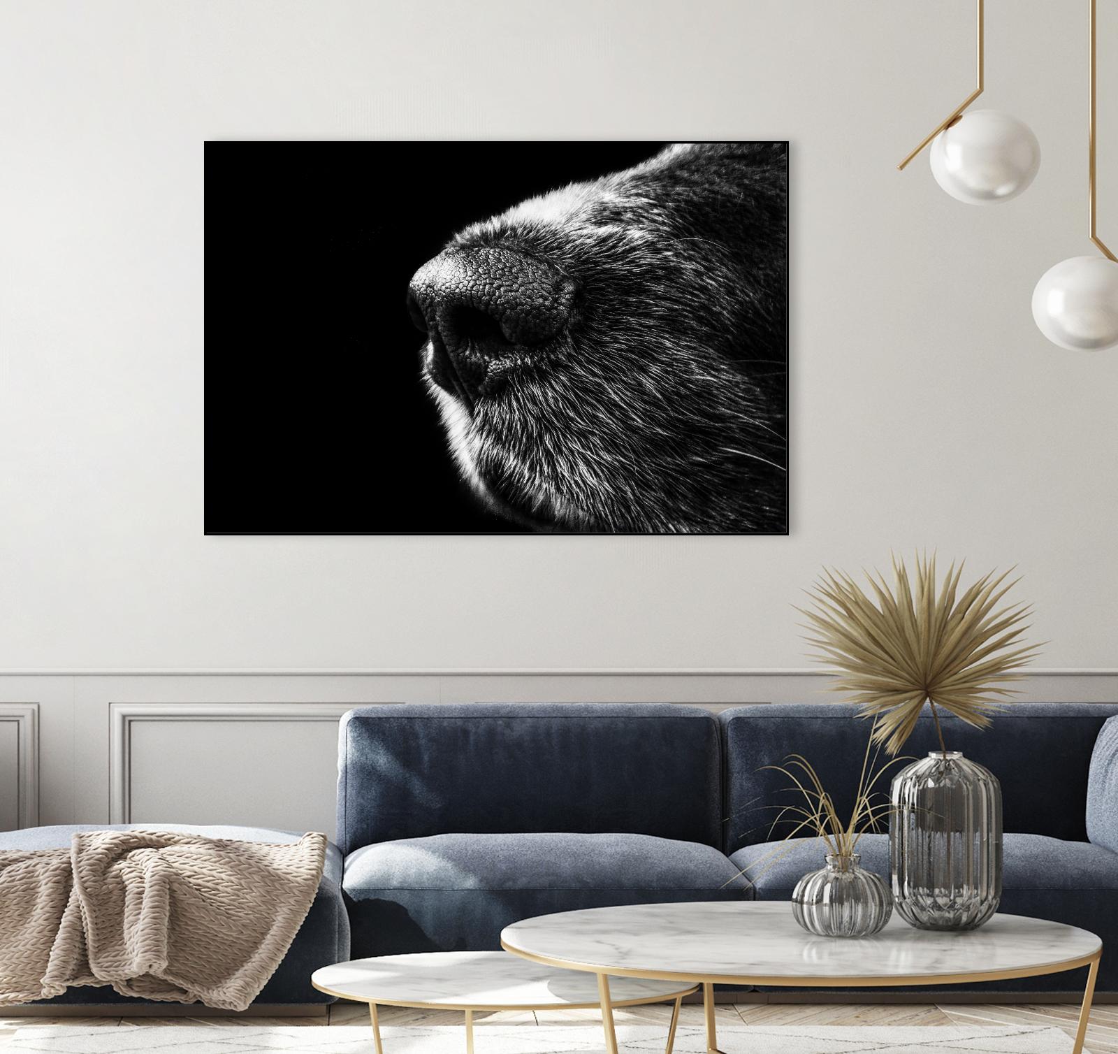 Dog nose by Pexels on GIANT ART - white animals