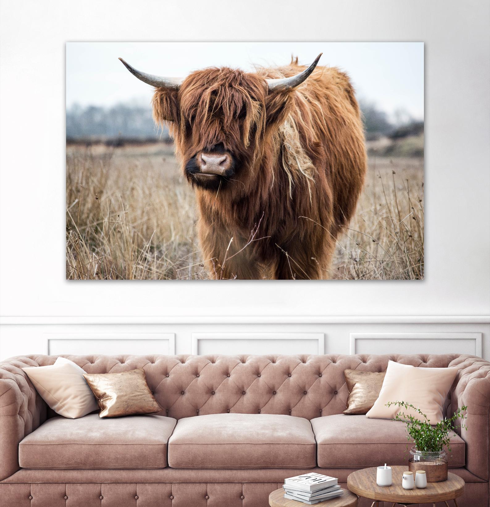 Grazing by Pexels on GIANT ART - black animals