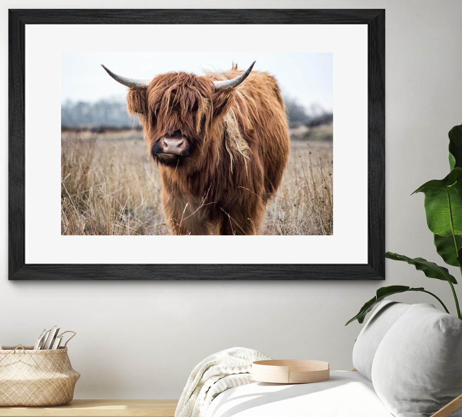 Grazing by Pexels on GIANT ART - black animals