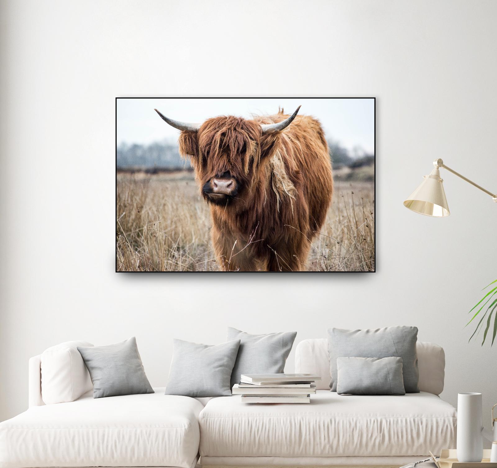 Grazing by Pexels on GIANT ART - black animals