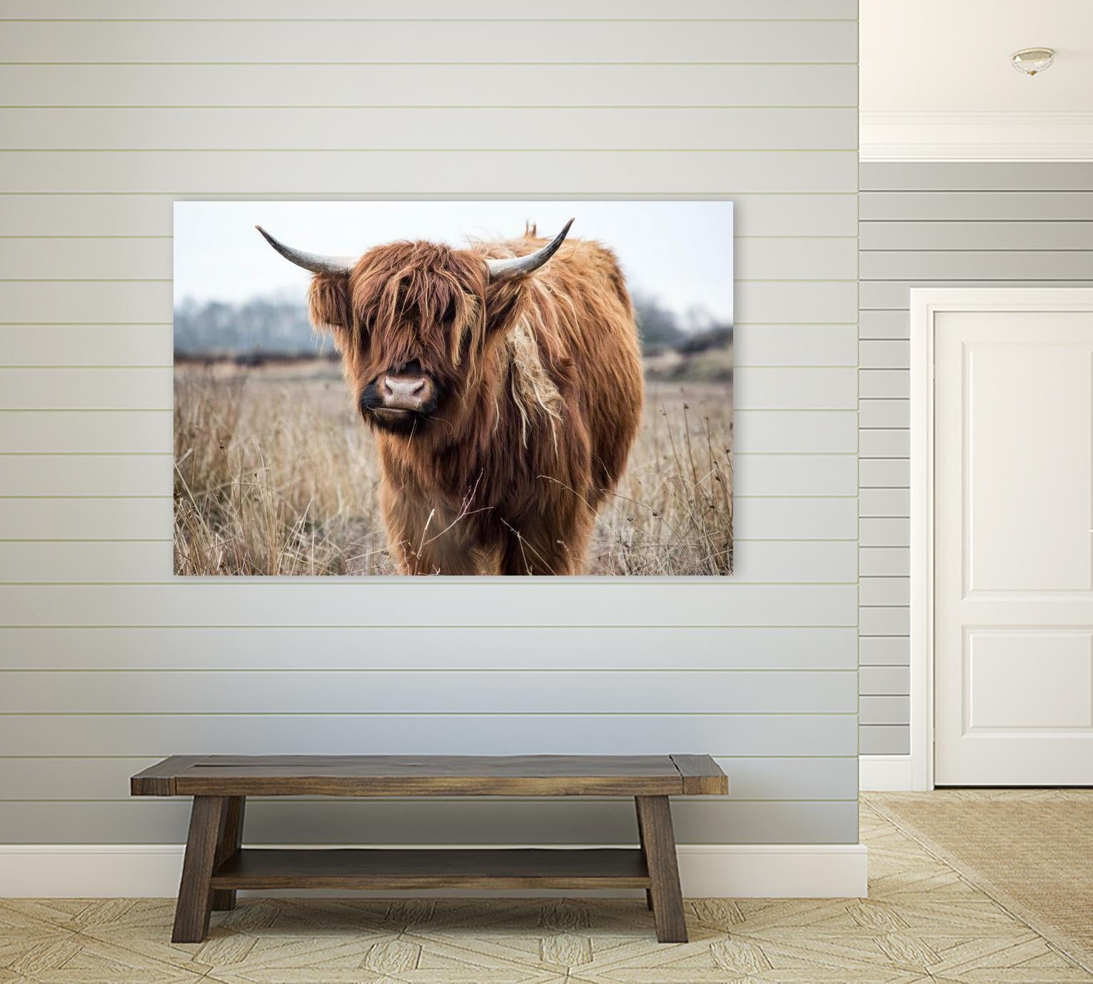 Grazing by Pexels on GIANT ART - black animals