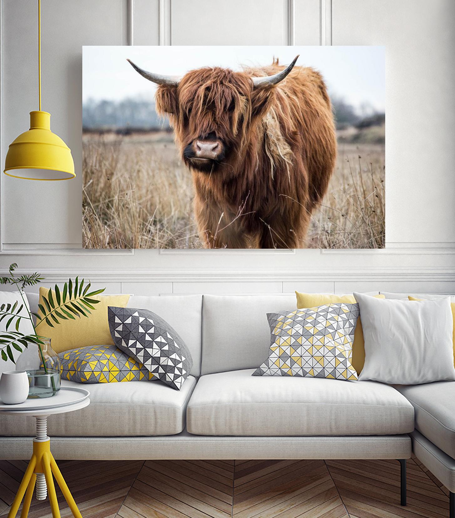 Grazing by Pexels on GIANT ART - black animals