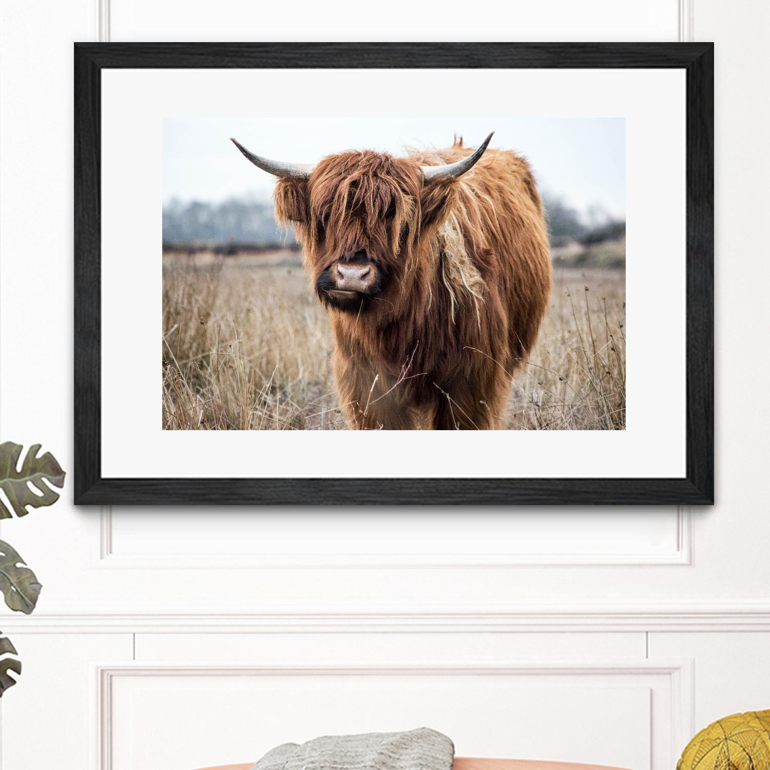 Grazing by Pexels on GIANT ART - black animals