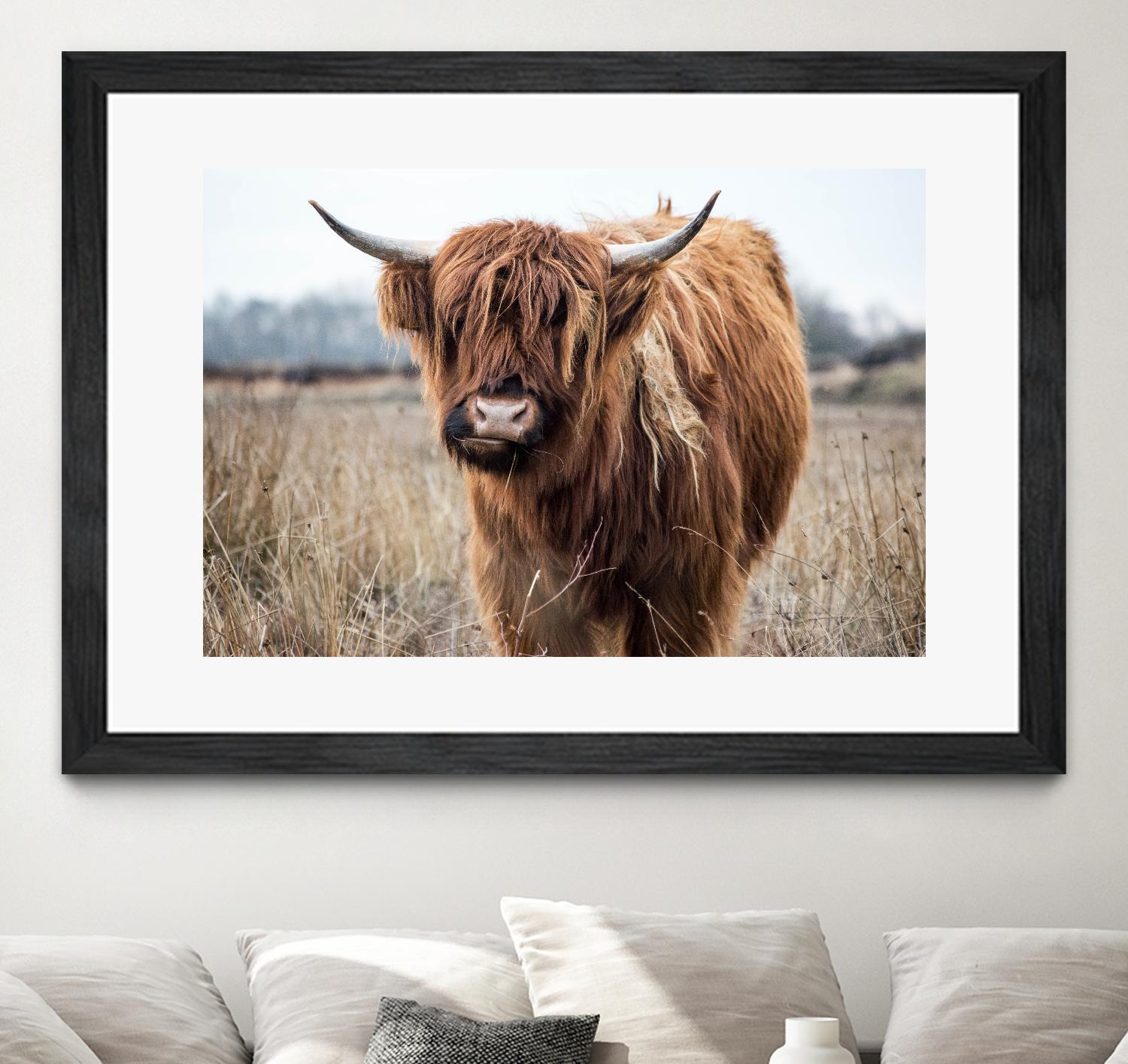 Grazing by Pexels on GIANT ART - black animals