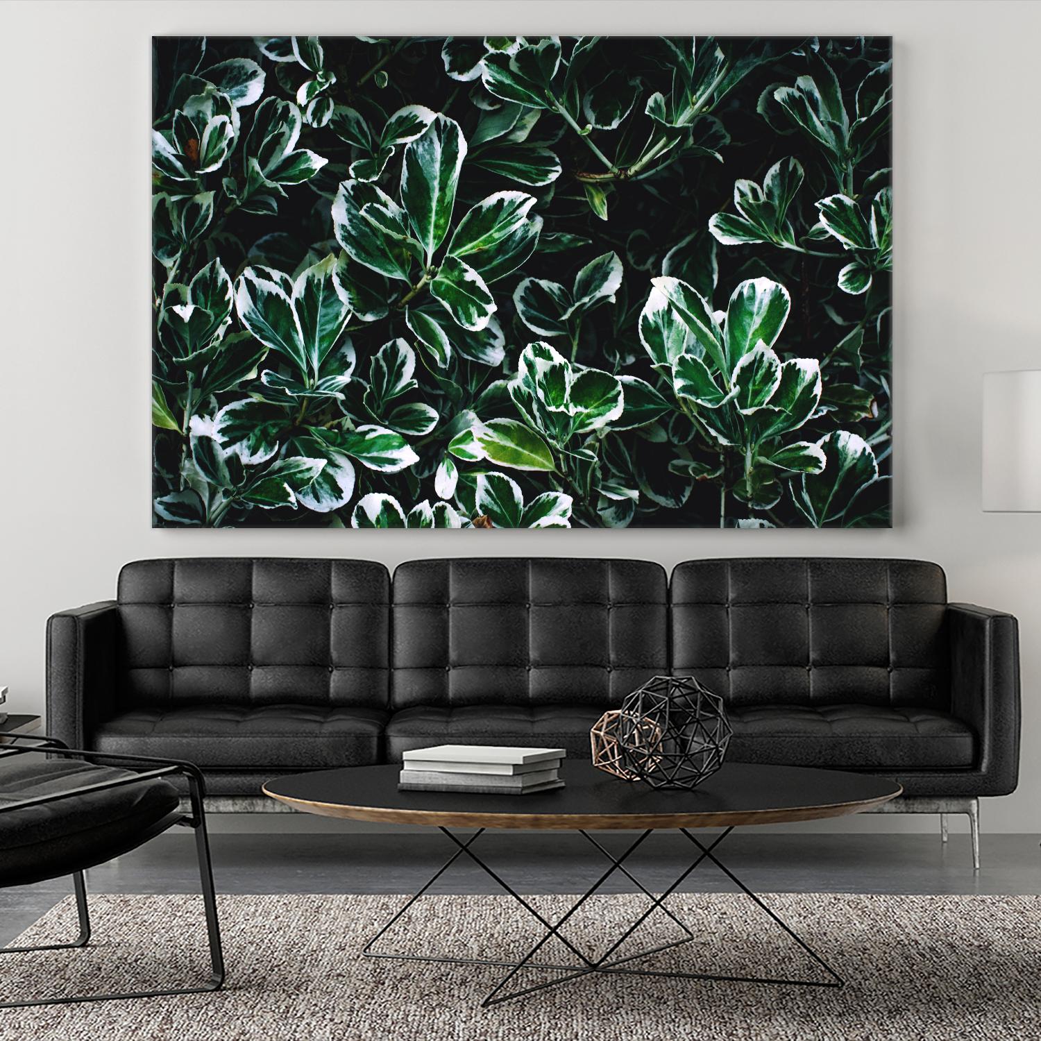 Colored leaves by Pexels on GIANT ART - white botany