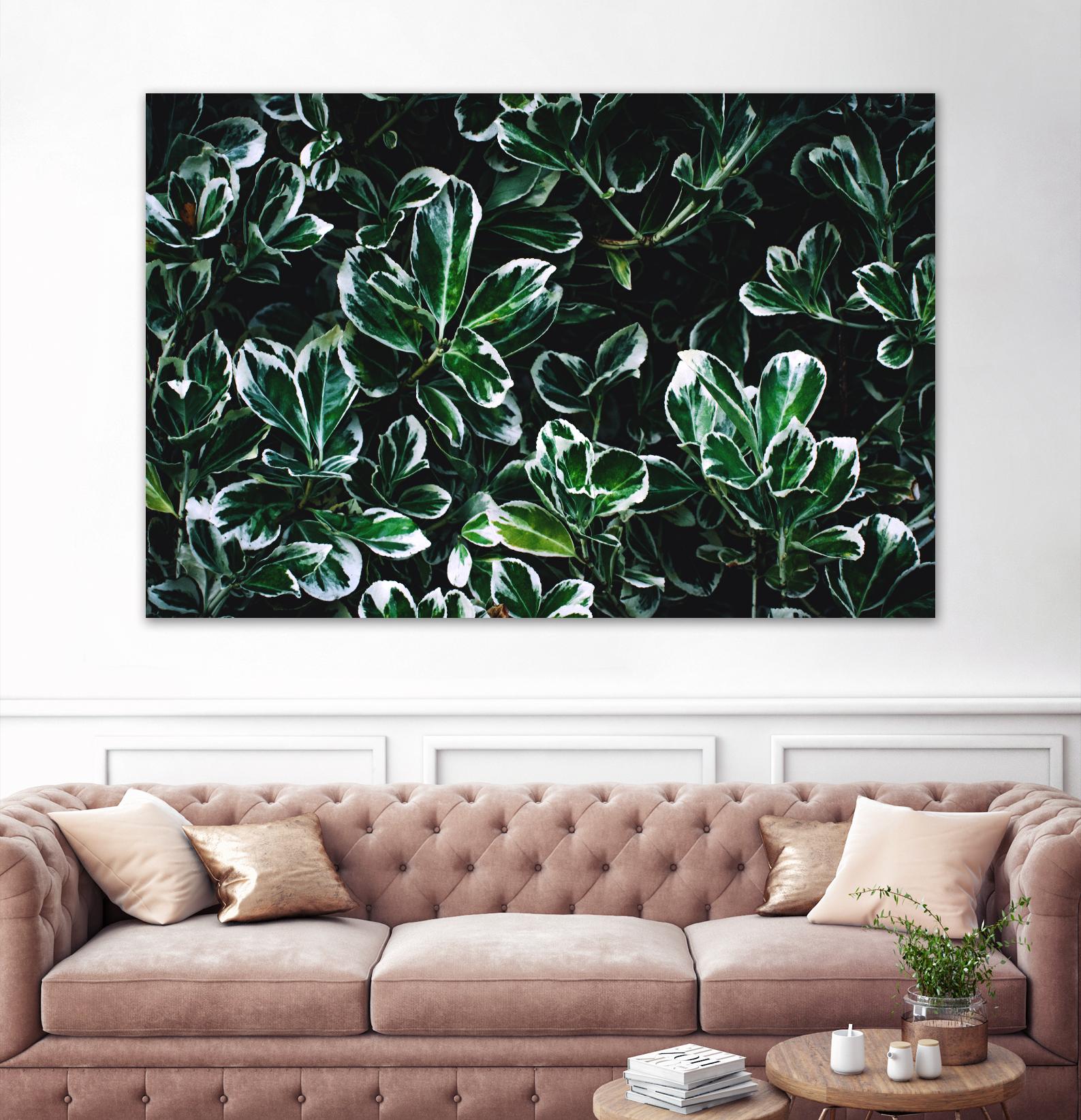 Colored leaves by Pexels on GIANT ART - white botany