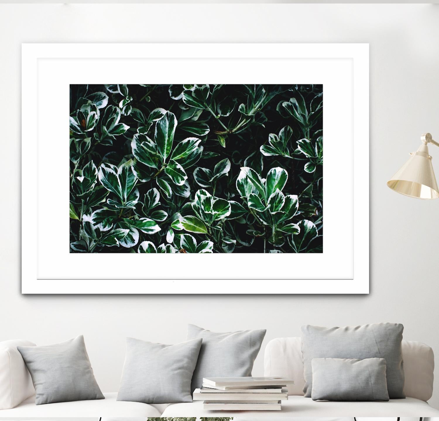 Colored leaves by Pexels on GIANT ART - white botany