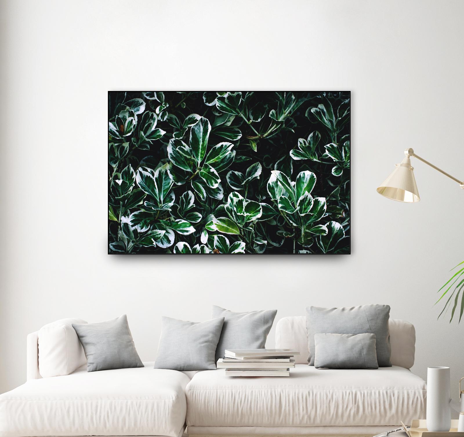 Colored leaves by Pexels on GIANT ART - white botany