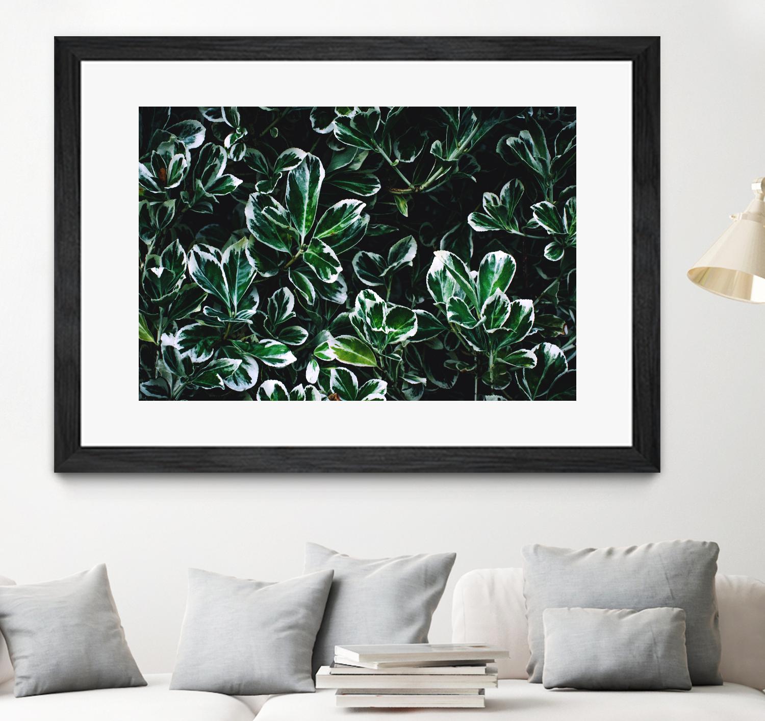 Colored leaves by Pexels on GIANT ART - white botany