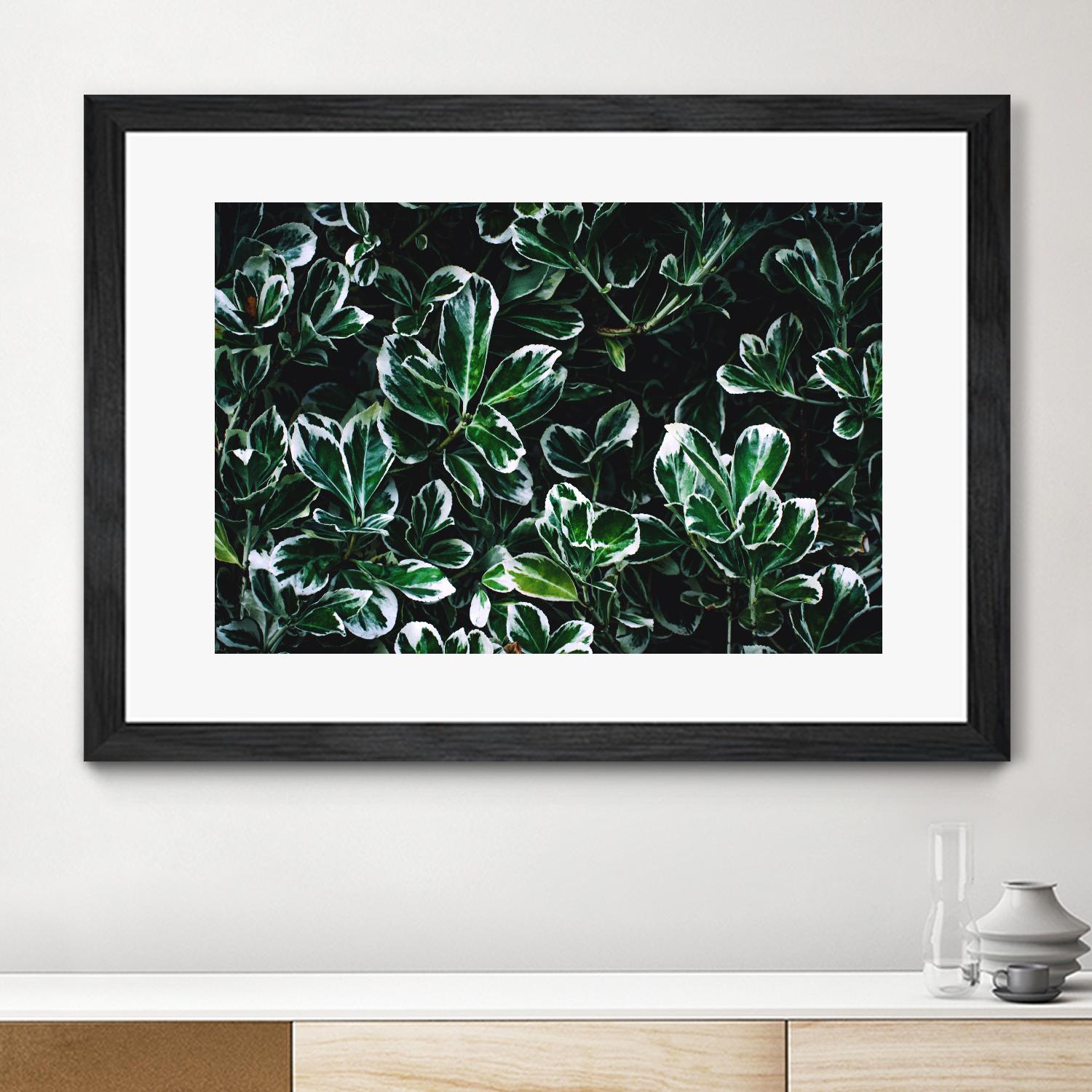 Colored leaves by Pexels on GIANT ART - white botany