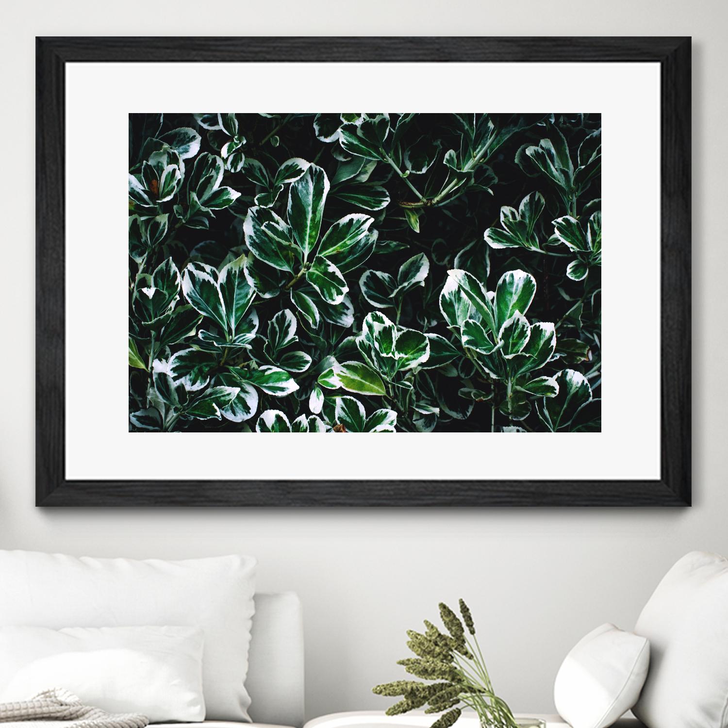 Colored leaves by Pexels on GIANT ART - white botany