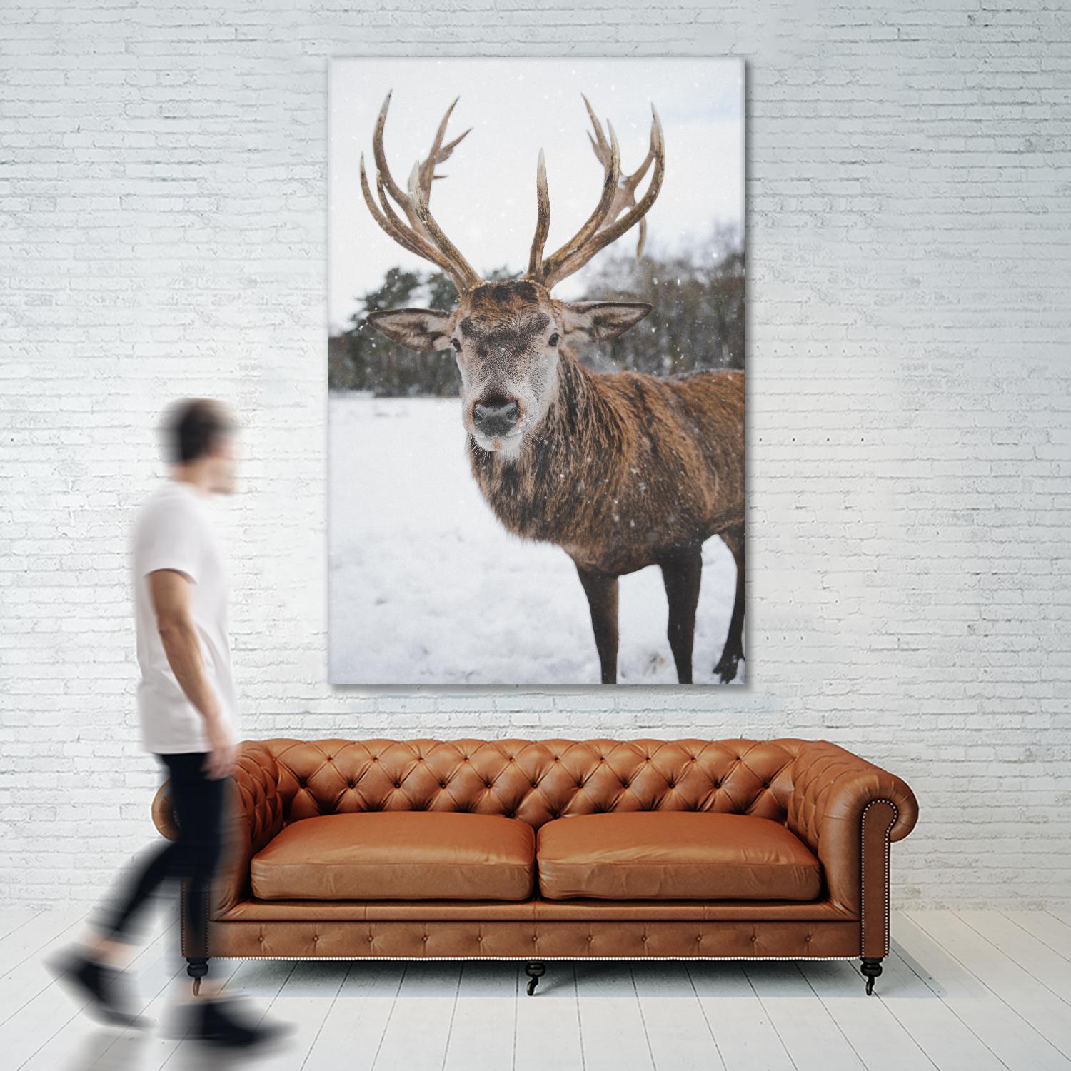 Deer by Pexels on GIANT ART - white animals