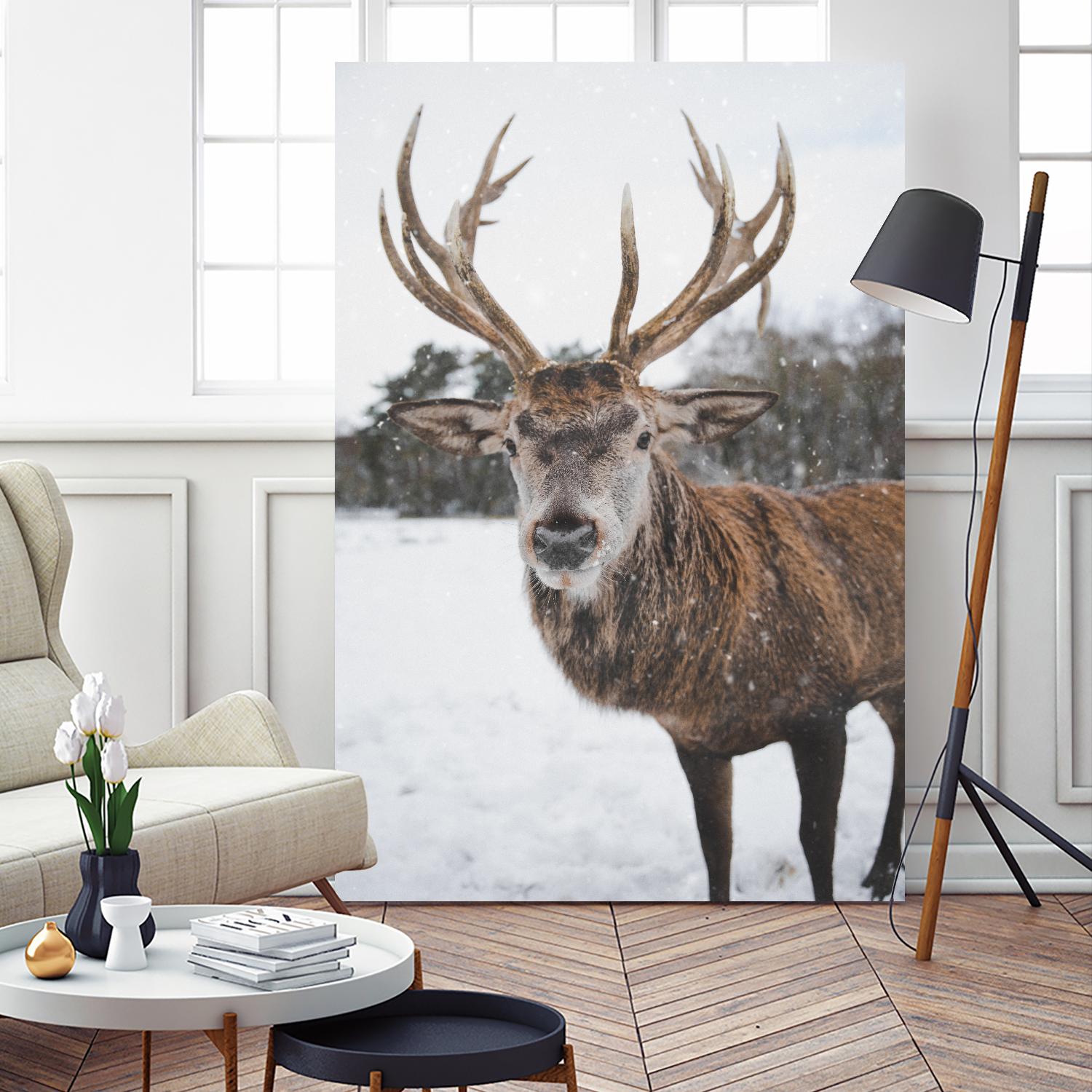 Deer by Pexels on GIANT ART - white animals