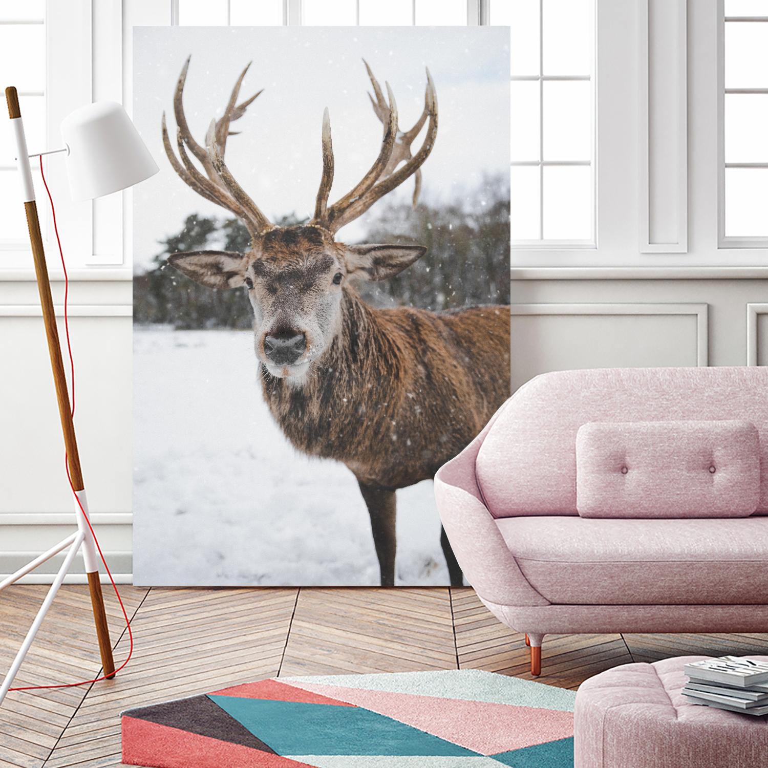 Deer by Pexels on GIANT ART - white animals