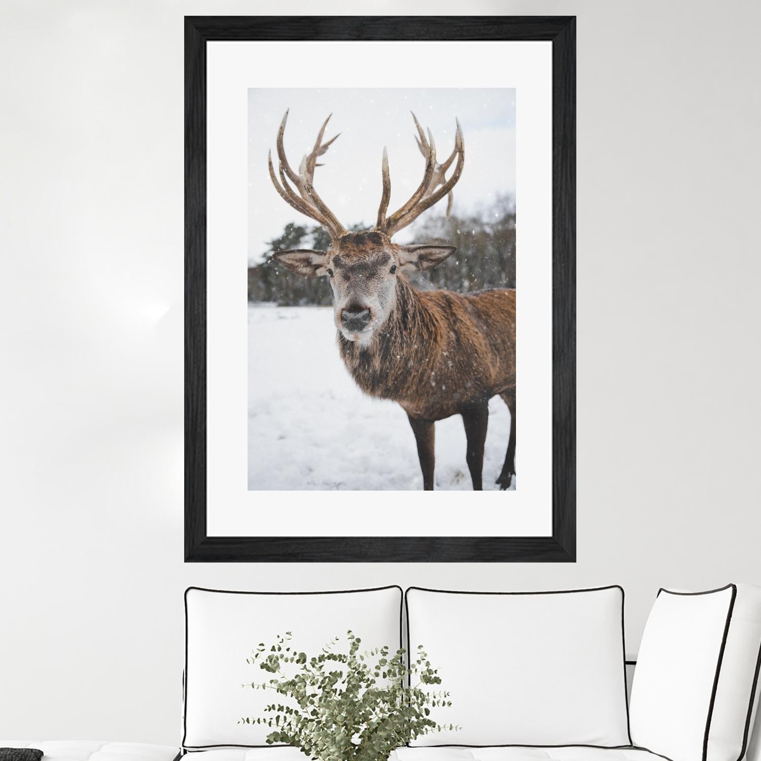 Deer by Pexels on GIANT ART - white animals