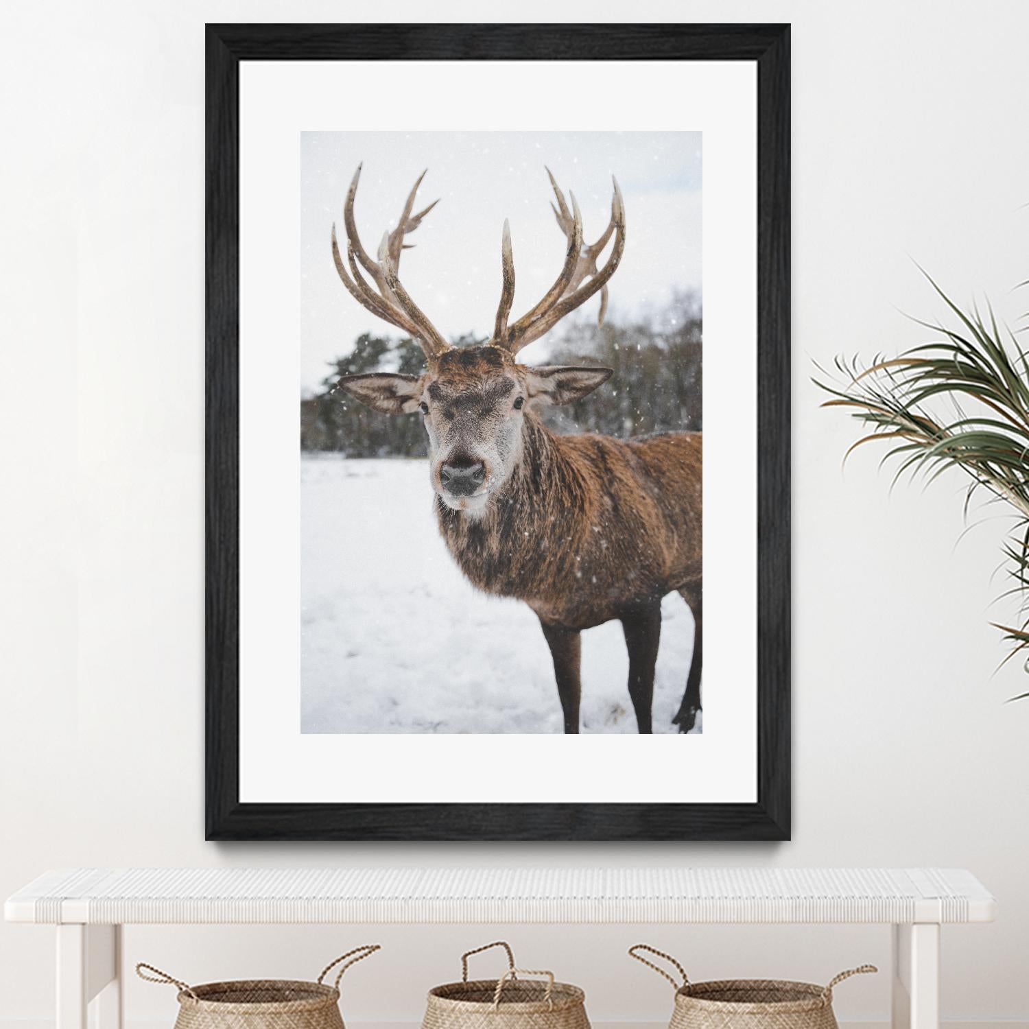Deer by Pexels on GIANT ART - white animals