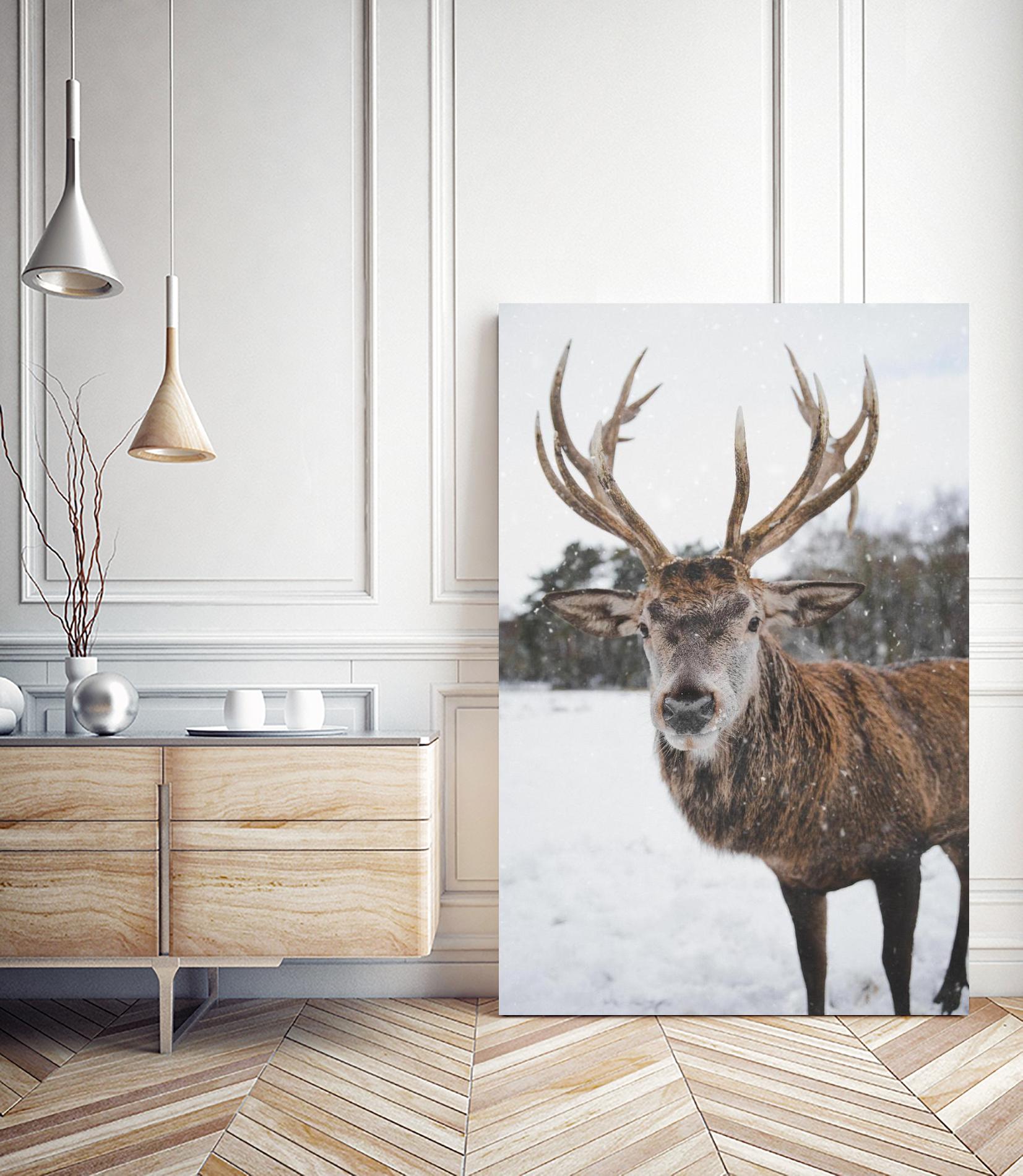 Deer by Pexels on GIANT ART - white animals