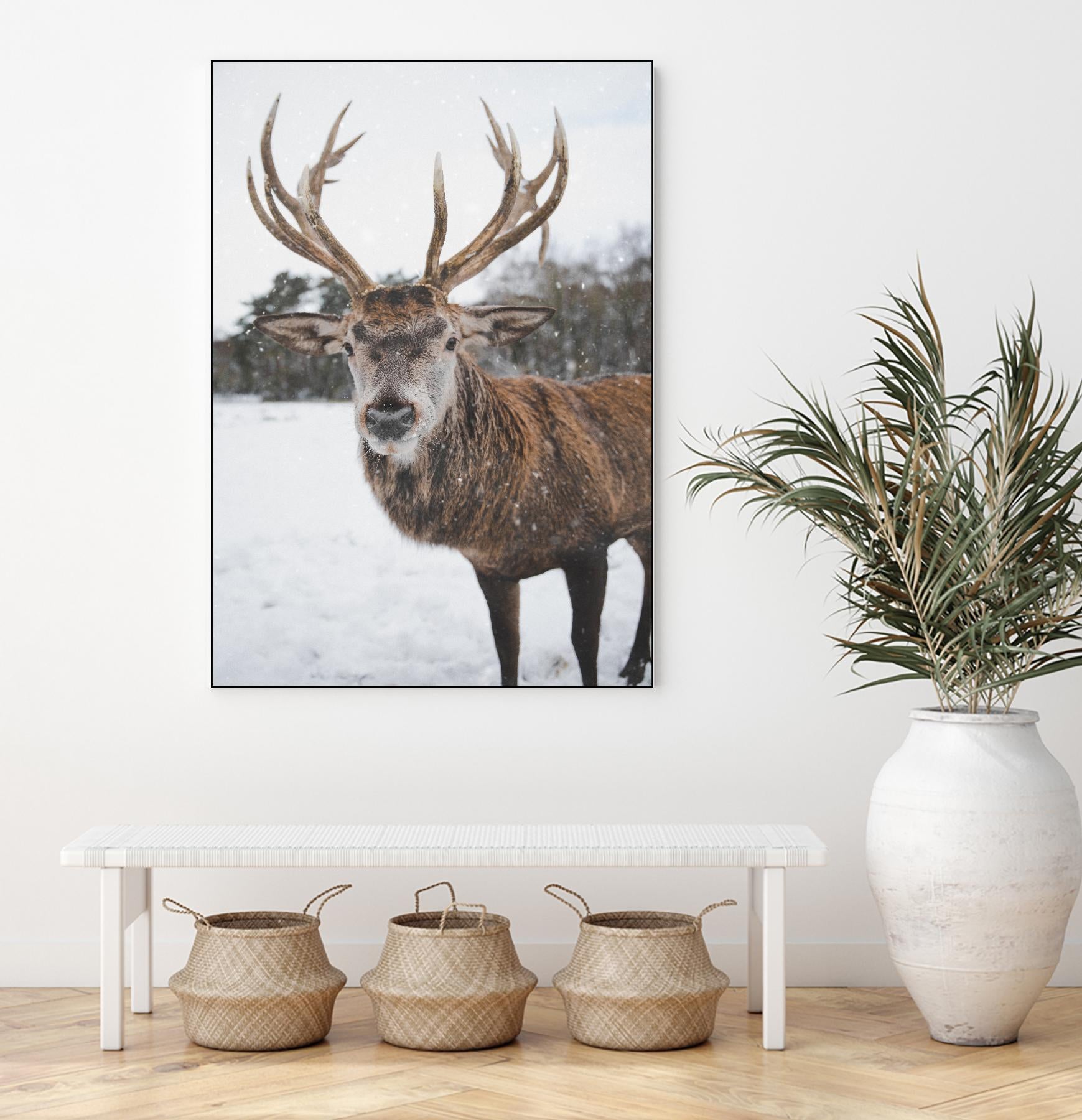 Deer by Pexels on GIANT ART - white animals