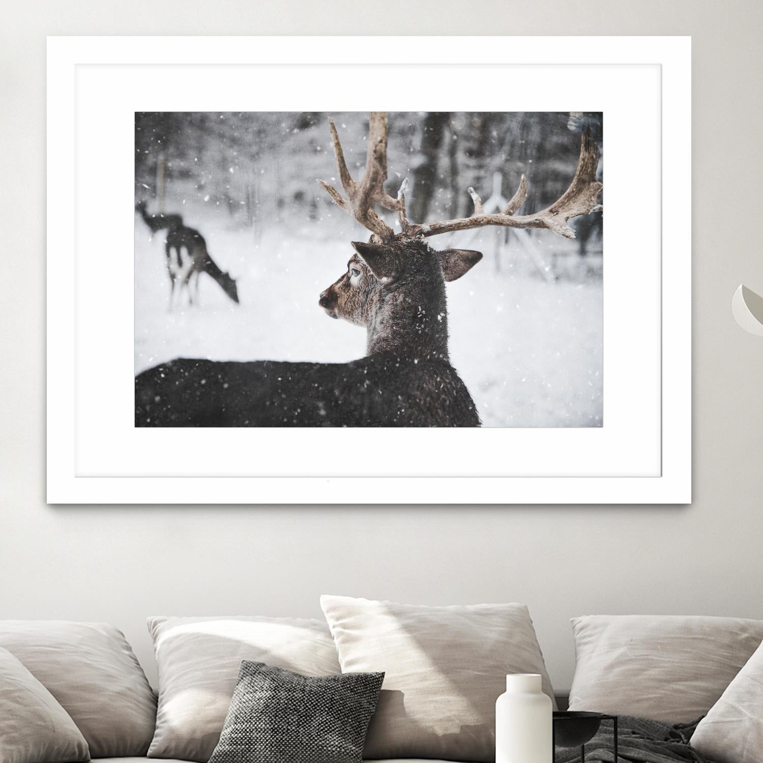 Deers by Pexels on GIANT ART - white animals