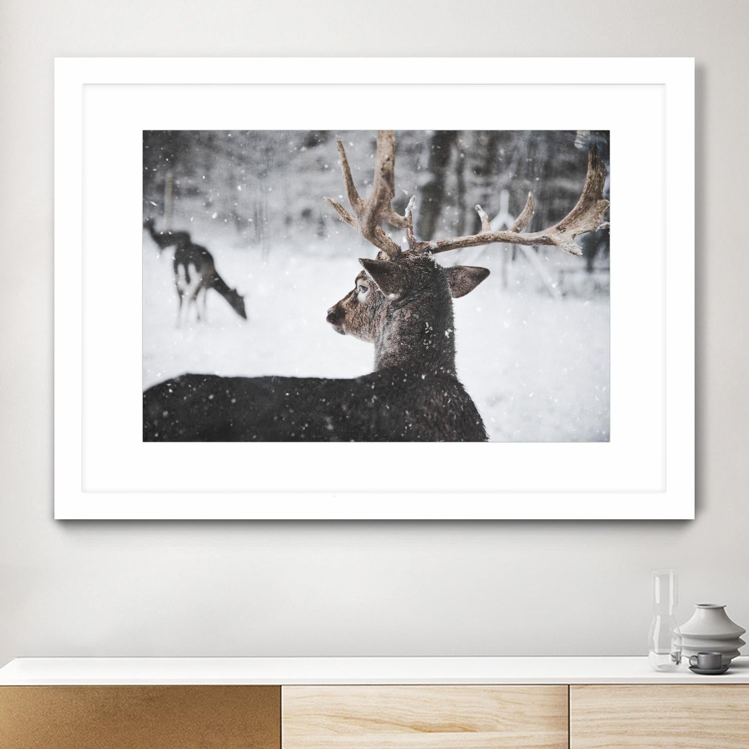 Deers by Pexels on GIANT ART - white animals