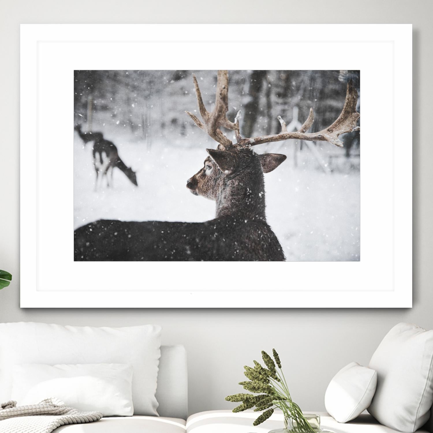Deers by Pexels on GIANT ART - white animals