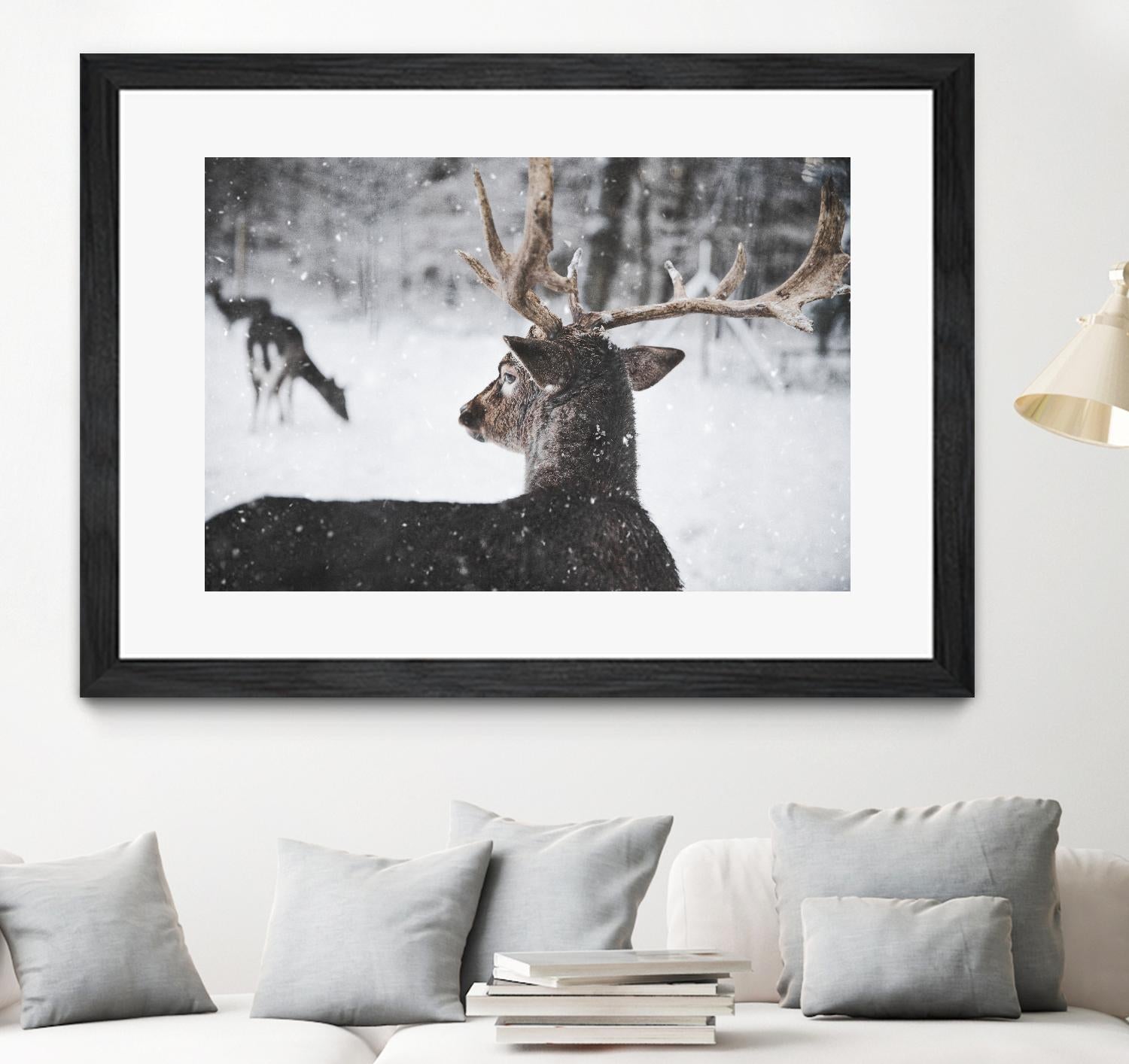 Deers by Pexels on GIANT ART - white animals