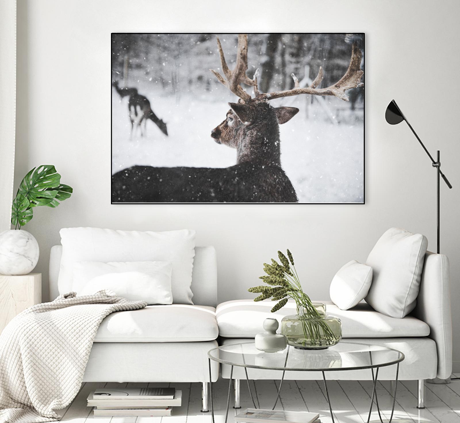 Deers by Pexels on GIANT ART - white animals