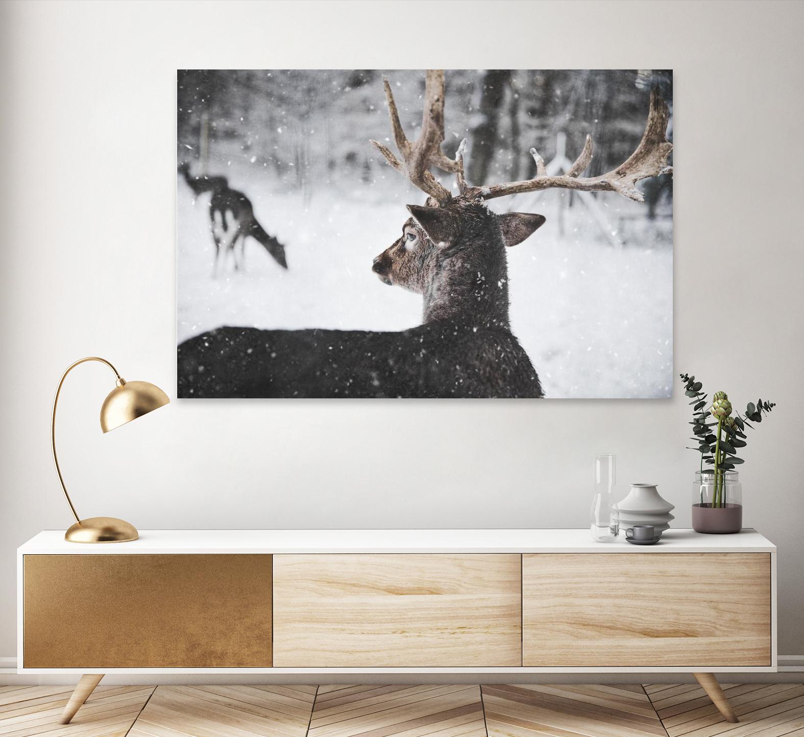 Deers by Pexels on GIANT ART - white animals