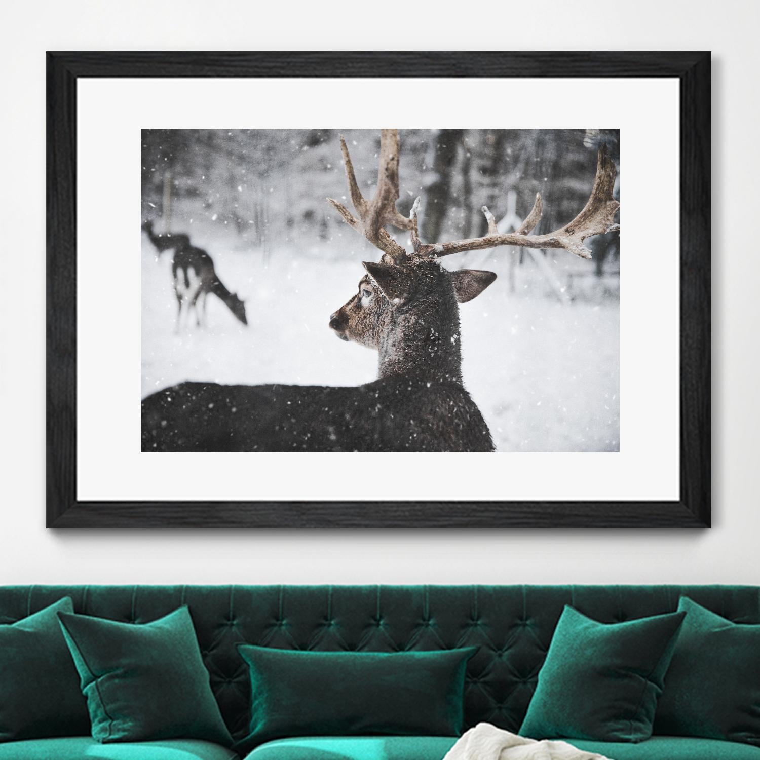 Deers by Pexels on GIANT ART - white animals