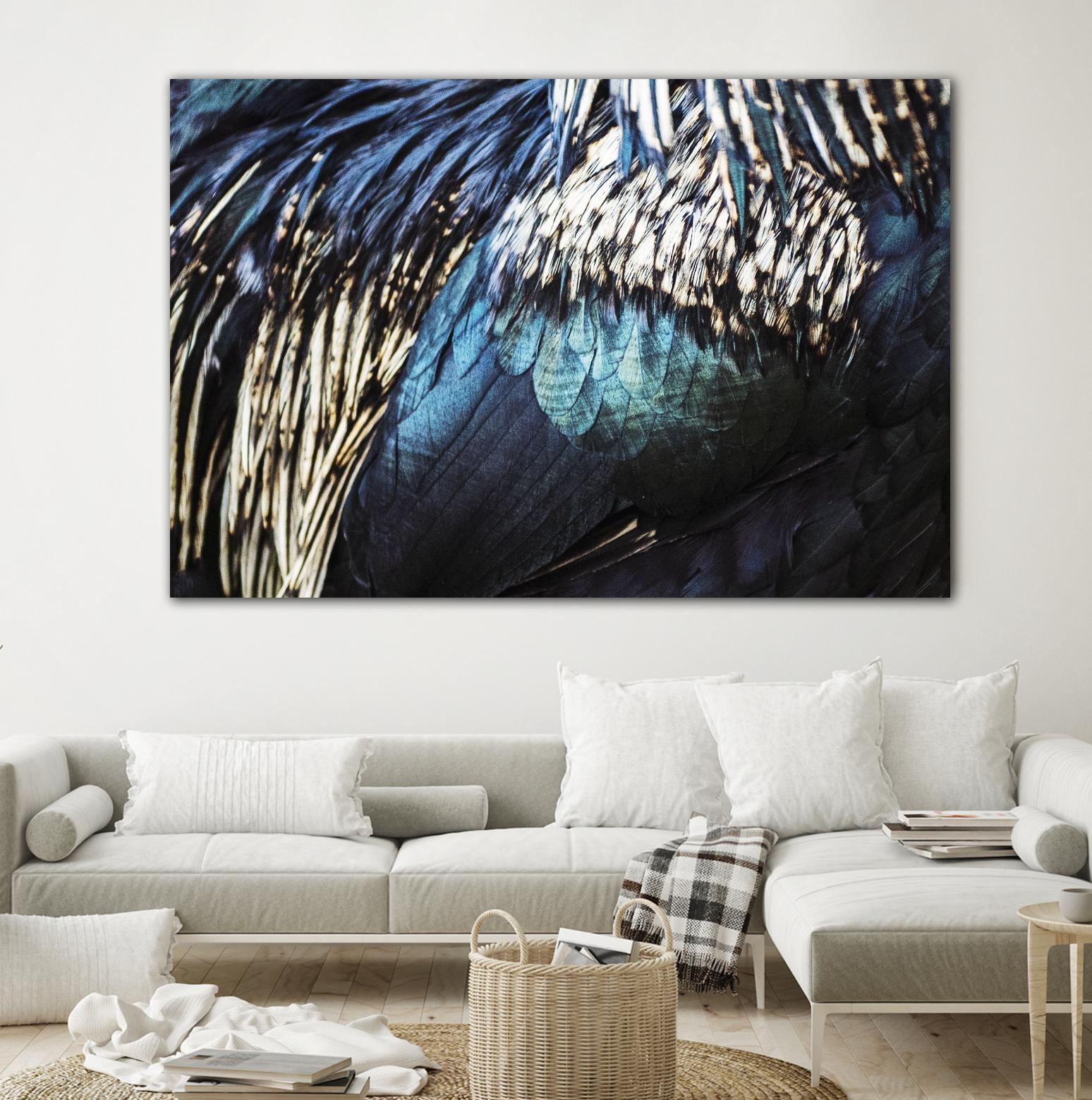 Blue feathers by Pexels on GIANT ART - white animals