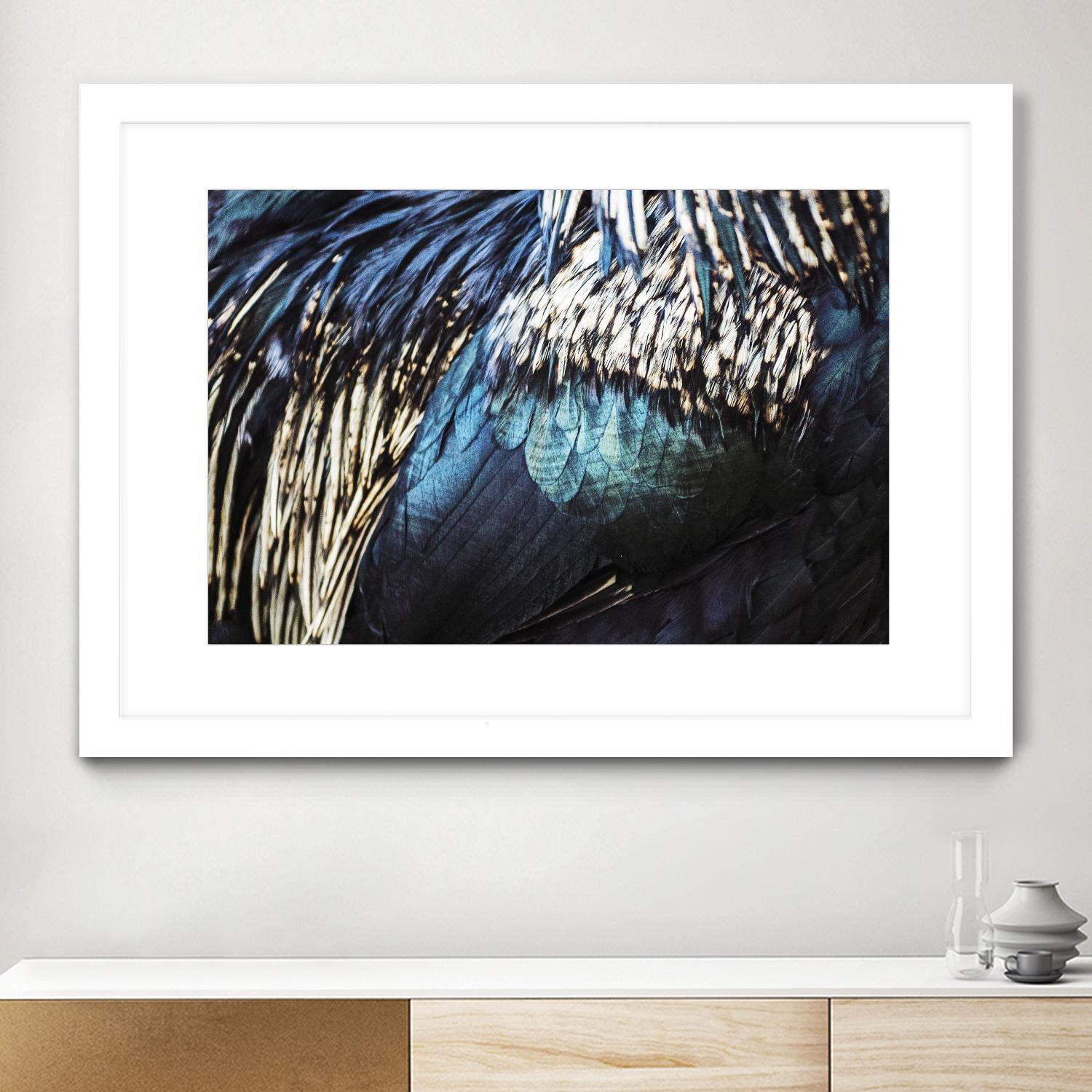 Blue feathers by Pexels on GIANT ART - white animals