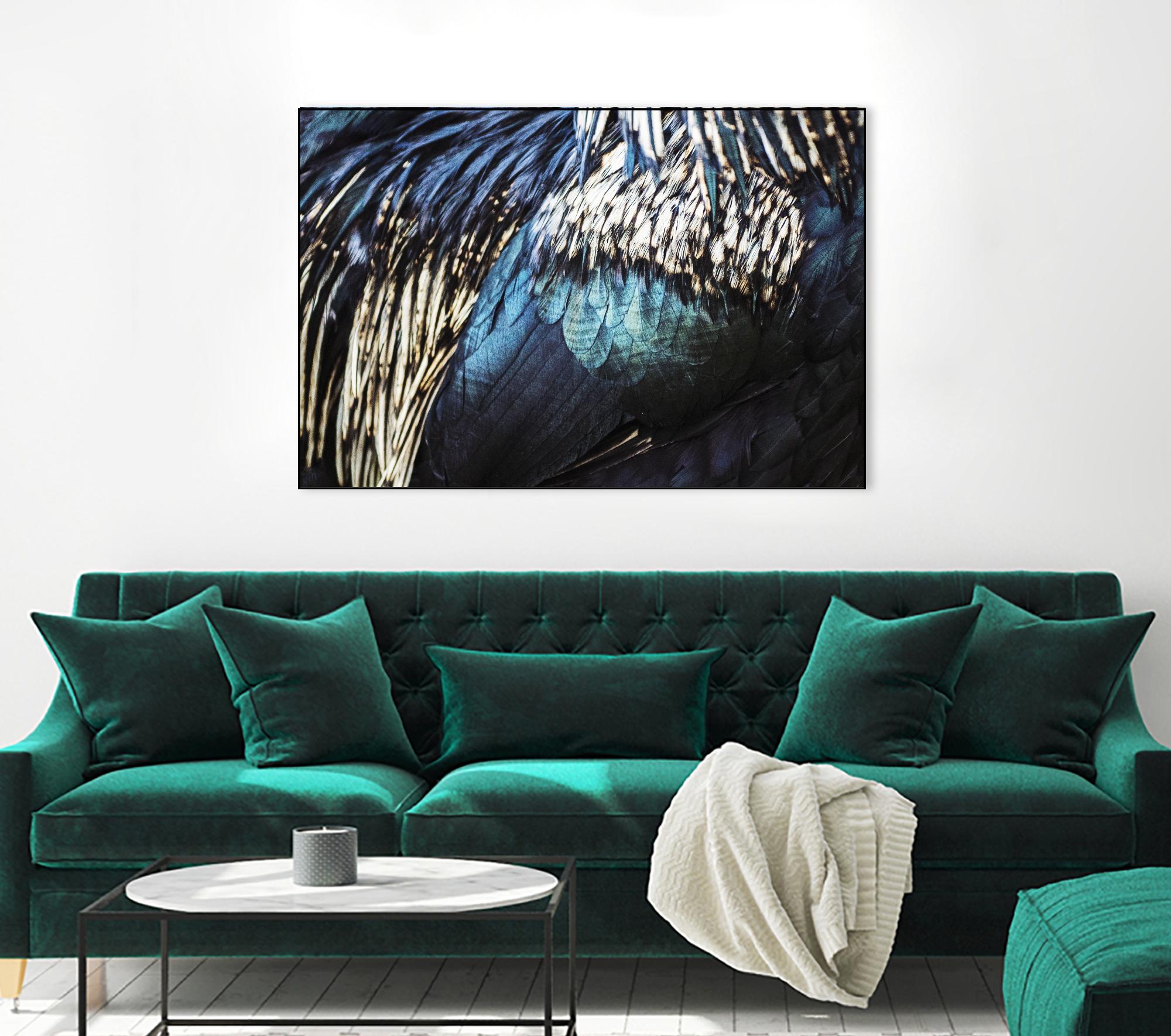 Blue feathers by Pexels on GIANT ART - white animals