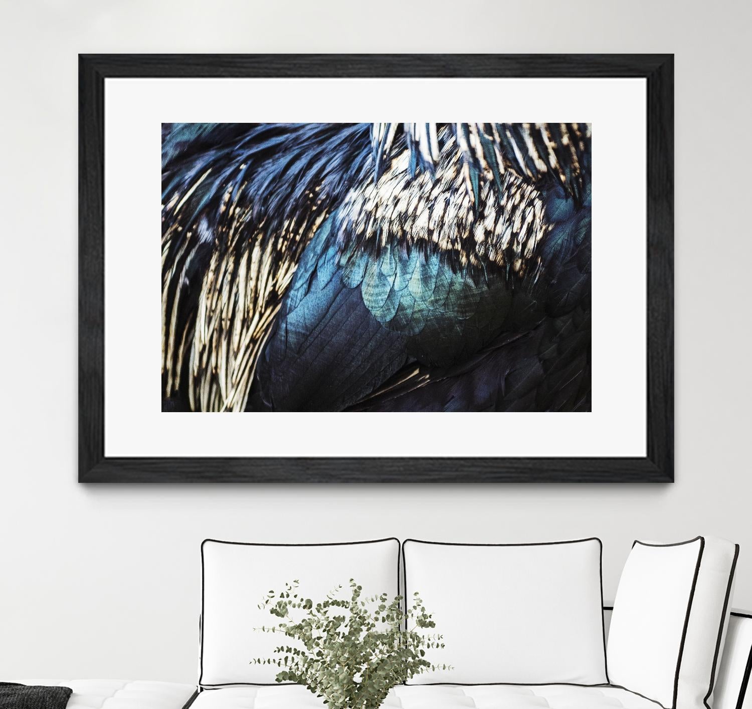Blue feathers by Pexels on GIANT ART - white animals
