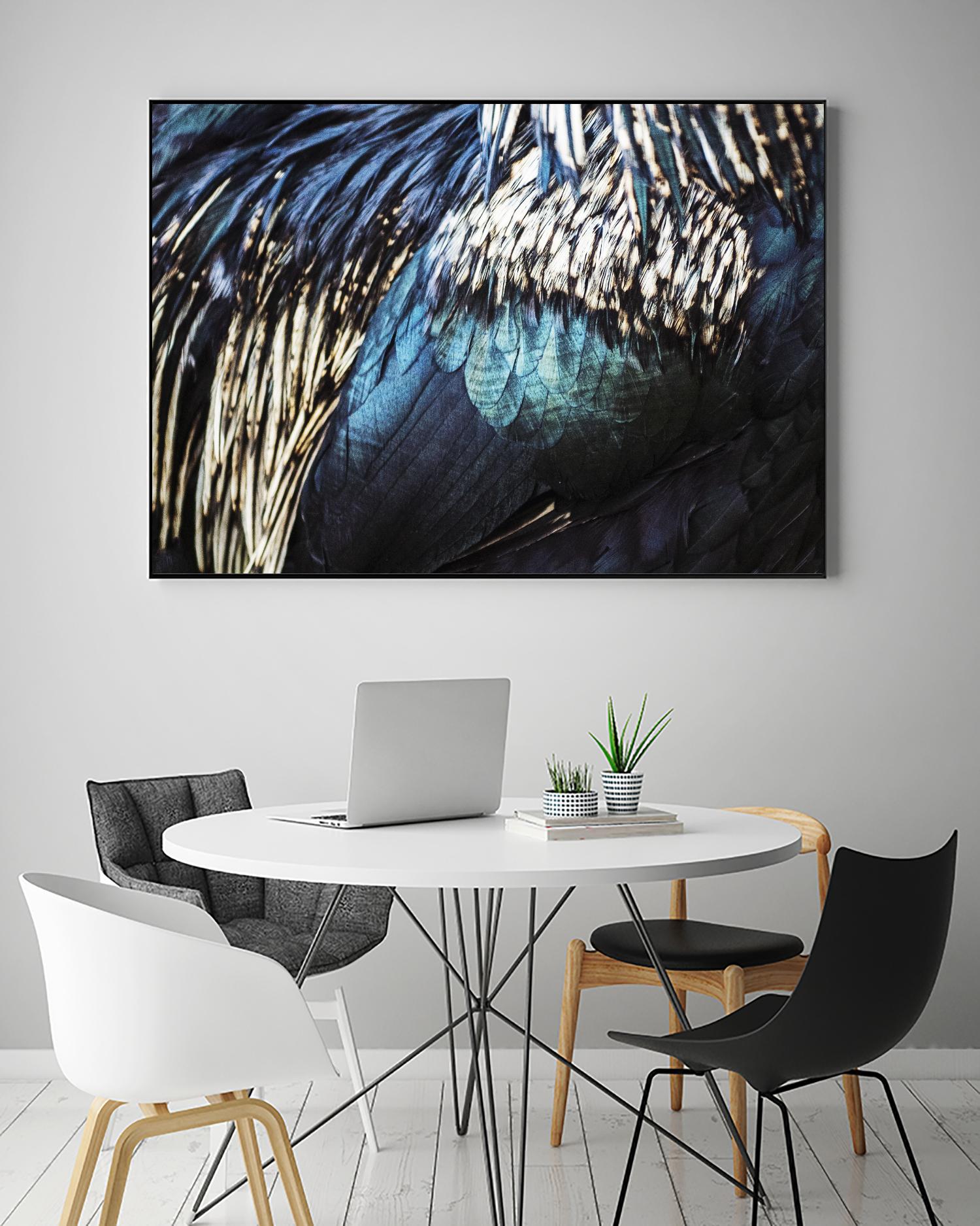 Blue feathers by Pexels on GIANT ART - white animals