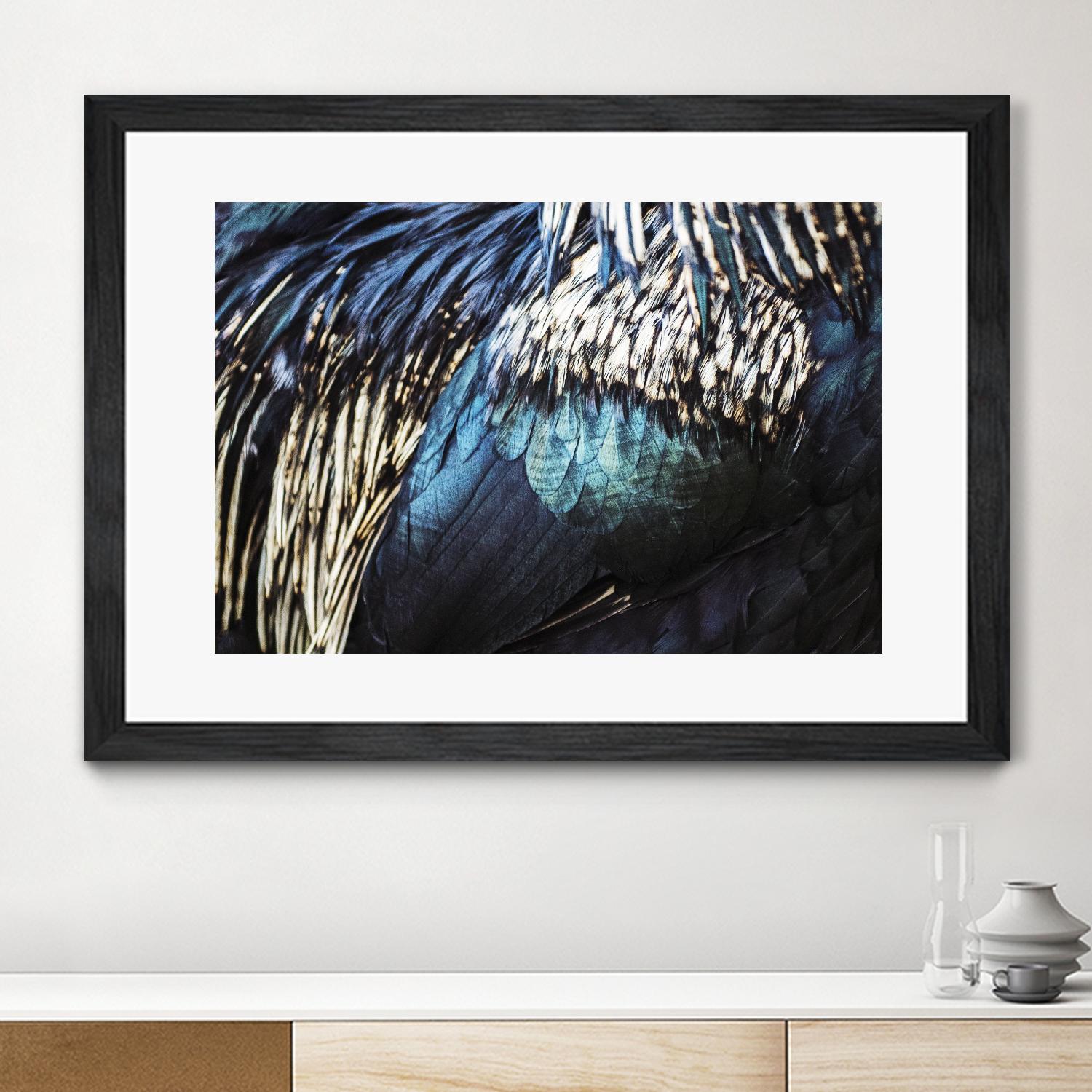 Blue feathers by Pexels on GIANT ART - white animals