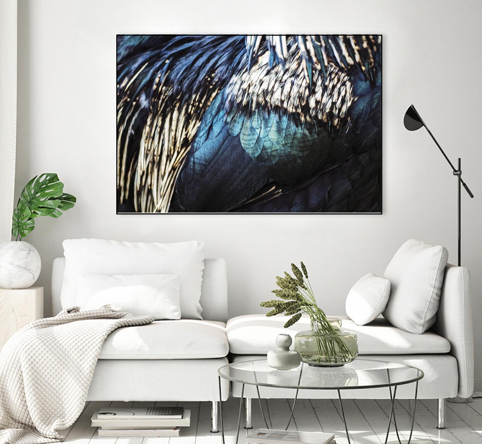 Blue feathers by Pexels on GIANT ART - white animals