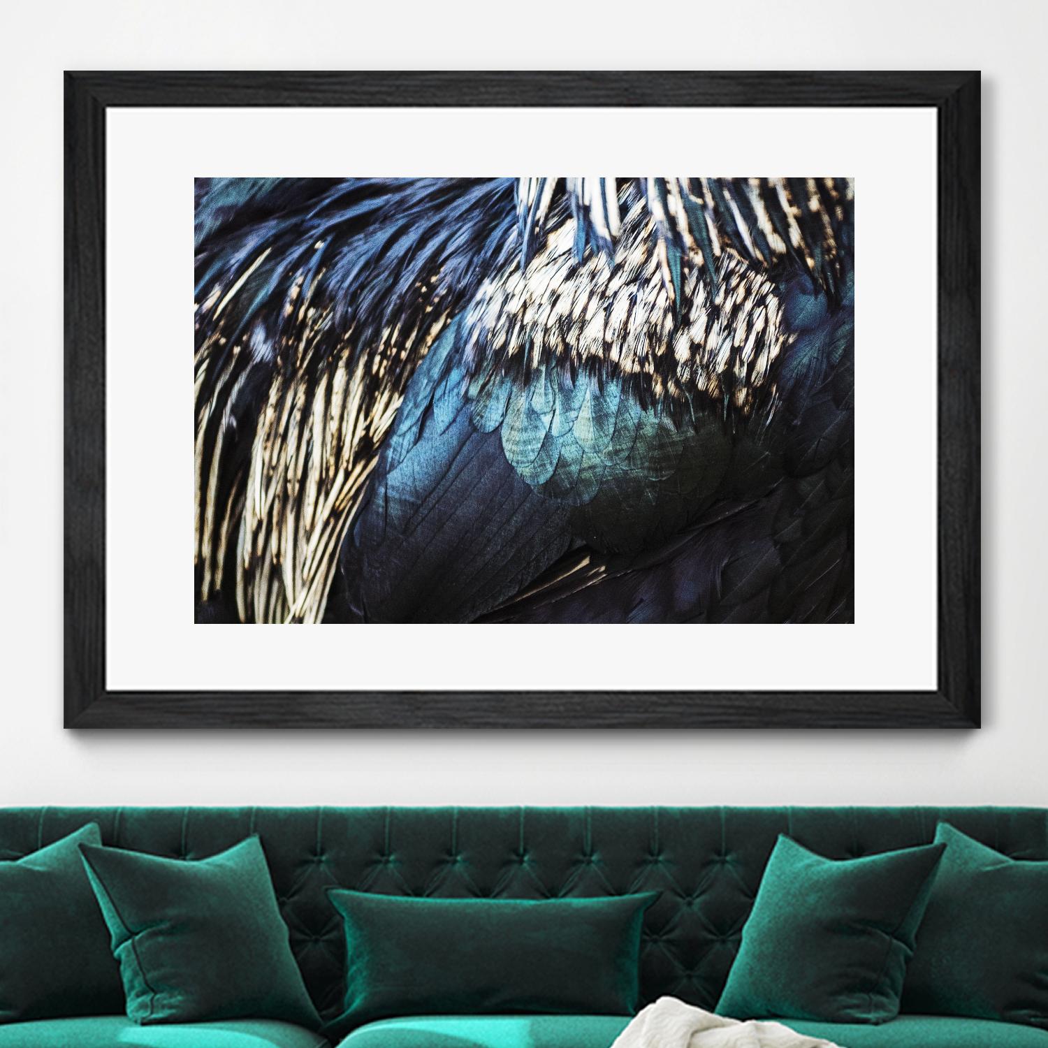 Blue feathers by Pexels on GIANT ART - white animals