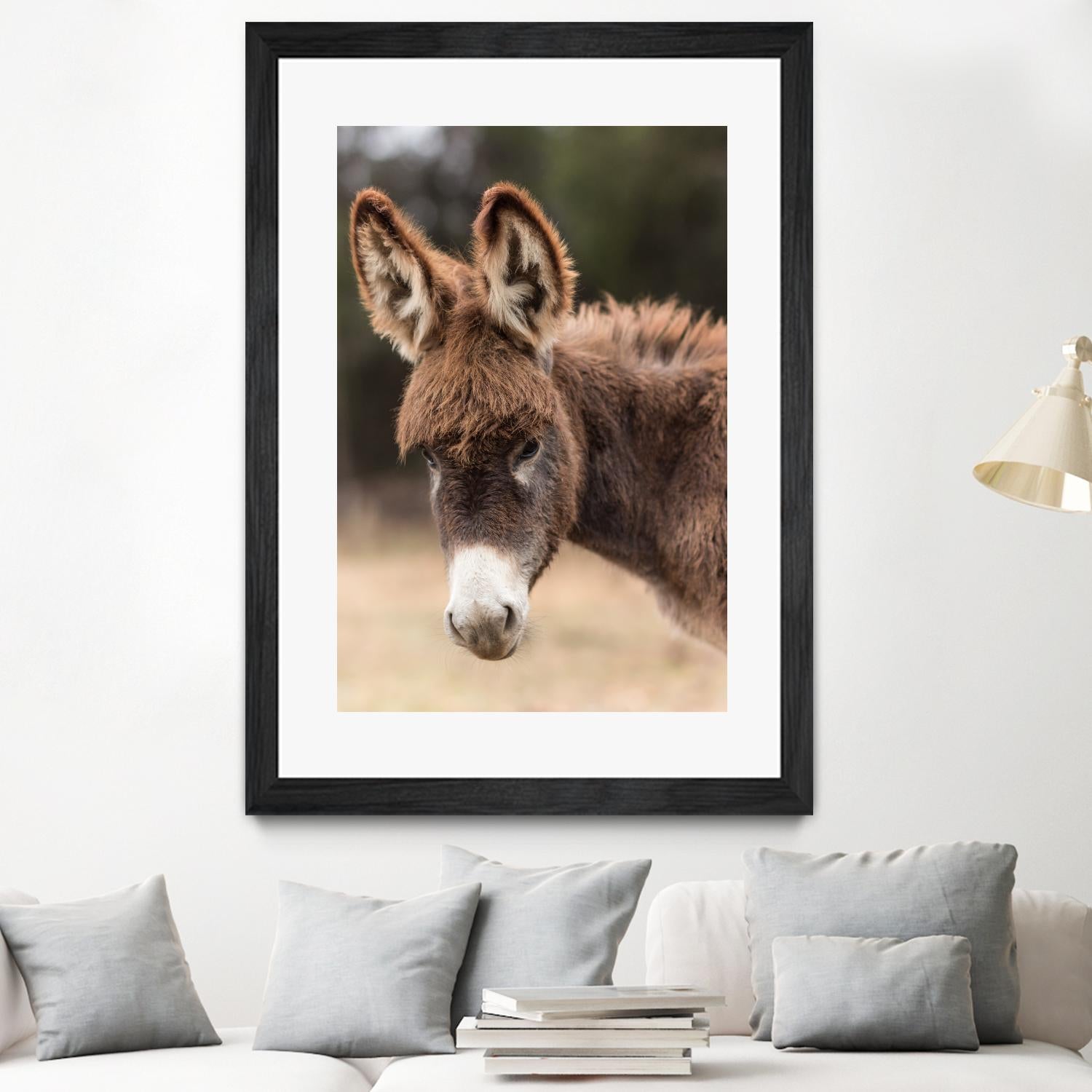 Donkey by Pexels on GIANT ART - white animals