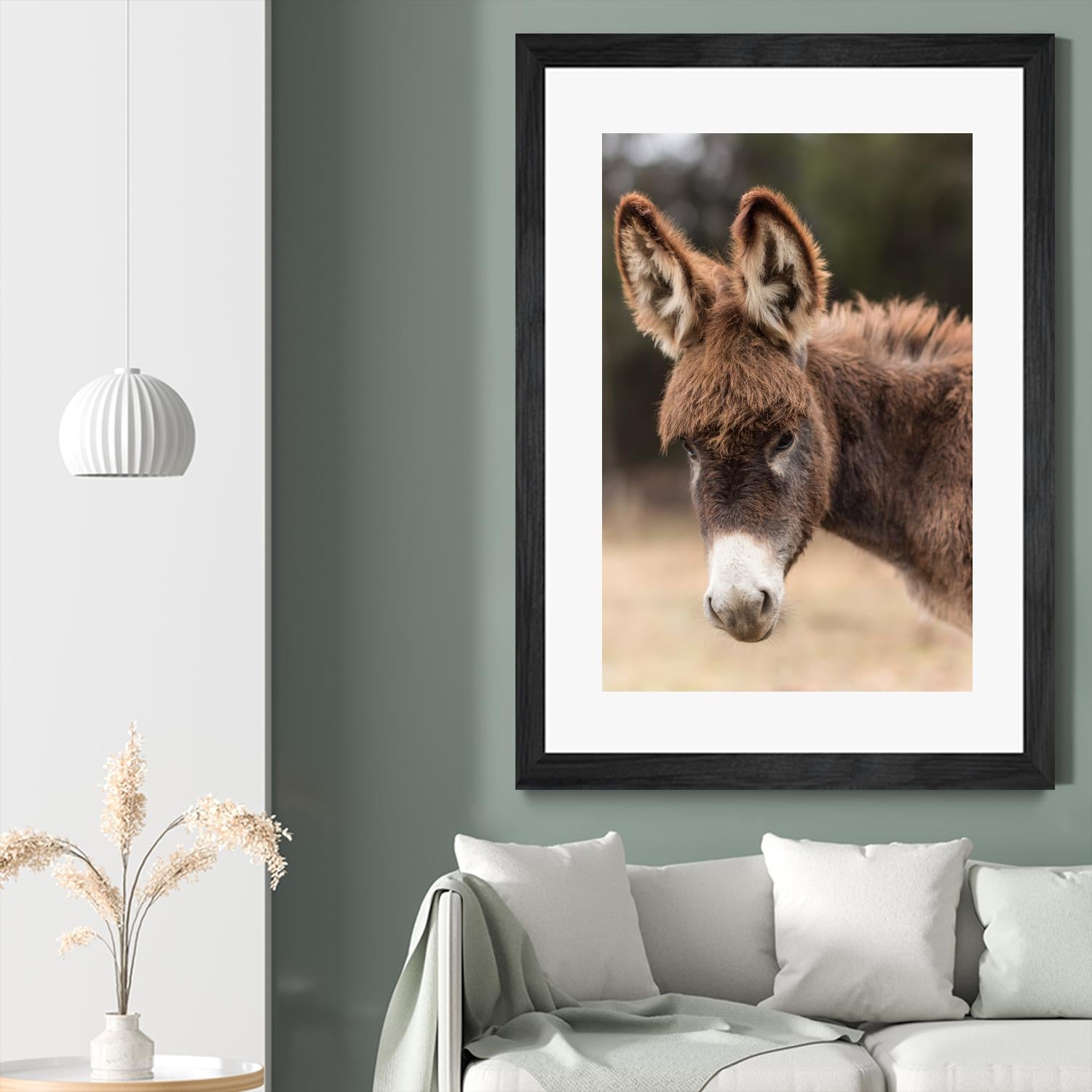 Donkey by Pexels on GIANT ART - white animals