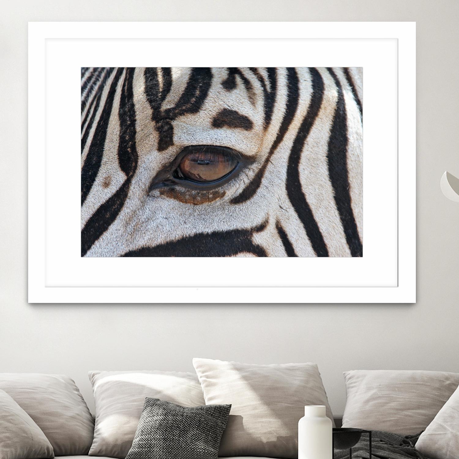 Zebra by Pexels on GIANT ART - white animals